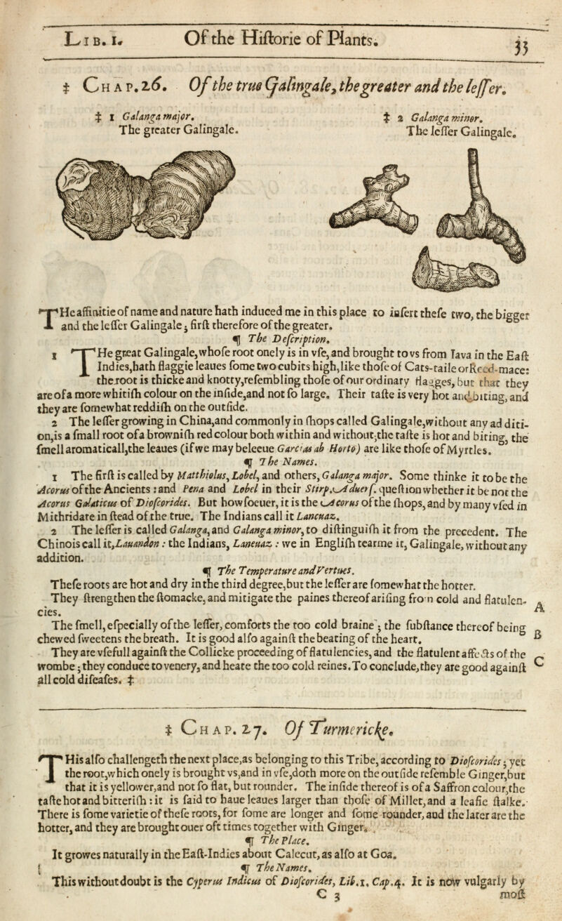 t Ch a p.2,6. Of the true (jaftngale, the greater and the leffer. $ i Galanga Major. The greater Galingale. $ 2 Galanga miner. The Icfler Galingalc. T Heaifimtieof name and nature hath induced me in this place to iafert thefe two, the bigger and the lefler Galingale. firft therefore of the greater. «(] The D efcnption, j ^-r^He great Galingale, whofe root onely is in vfe,and brought to vs from Tava in the Eaft I Indies,hath flaggieleaues fome two cubits high,like thofeof Cats-raile or Reed-mace: A the root is thicke and knotty,refembling thofeof our ordinary flanges, but that they are of a more whitifti colour on the infide,and not fo large. Their tafte is very hot an^biting, and they are fomewhat reddiih on the out fide. 2 The leiTer growing in China,and commonly in (hops called Galingale,without any ad diti- on is a fmall root ofa brownifh red colour both within and without-the talk is hot and biting, the fmell aromaticall,the leaues (if we may beleeue Garc’as ab Horto) are like thofe of Myrtles. ig 7 be Names. i The firft is called by Matthiolus , Lobel , and others, G danga major , Some thinke it to be the Acortu ofthe Ancients :and Pena and Lobel in their Sttrp^duetf. que ft ion whether it be not the Mortis Gdaticus of Diofcorides. But howfoeuer, it is the scorns of the lhops,and by many vfed in Mithridate in {lead ofthe true. The Indians call it Lancuaz, 2 The leiTer is called Galanga ,and Calanga minor ,to diftinguifh it from the precedent. The Chinoiscall it,Lauandon: the Indians, Laneuaz: we in Englilh tearme it, Galingale, without any addition. % The Temperature and Vert ms. Thefe roots are hot and dry in the third degree,but the leiTer are fomewhat the hotter. They ftrengthen the ftomacke, and mitigate the paines thereof arifing from cold and flatulen- ^ Cie jhe fmell, efpecially of the leiTer, comforts the too cold braine ; the fubftance thereof being ^ chewed fweetens the breath. It is good alfo againft the beating of the heart. They are vfefull againft the Collicke proceeding of flatulencies, and the flatulent affe&s of the ~ wombe; they conduce to venery, and heate the too cold reines.To conclude,they are good againft all cold difeafes. t i Chap. 17. Oj T^umericke* T His alfo challengeth the next placets belonging to this Tribe, according to Diofcorides j yet the root,which onely is brought vs,and invfe,doth more on theoutfidercfemble Ginger,but that it is yellovver,and not fo flat, but rounder. The iniide thereof is of a Saffron colour,the taftehotandbitterifhrit is faidto haue leaues larger than thofe of Millet,and a Ieafie ftalke.- There is fome vaiictie of thefe roots, for fome are longer and fome rounder, and the later are the hotter, and they are brought ouer oft times together with Ginger. *[ The Place, It growes naturally in theEaft-Indies about Calecut,as alfo at Goa. [ The Names, This without doubt is the events Indicia of Diofcorides , Lib. i, Cap. 4. It is now vulgarly by ' C 3  moft