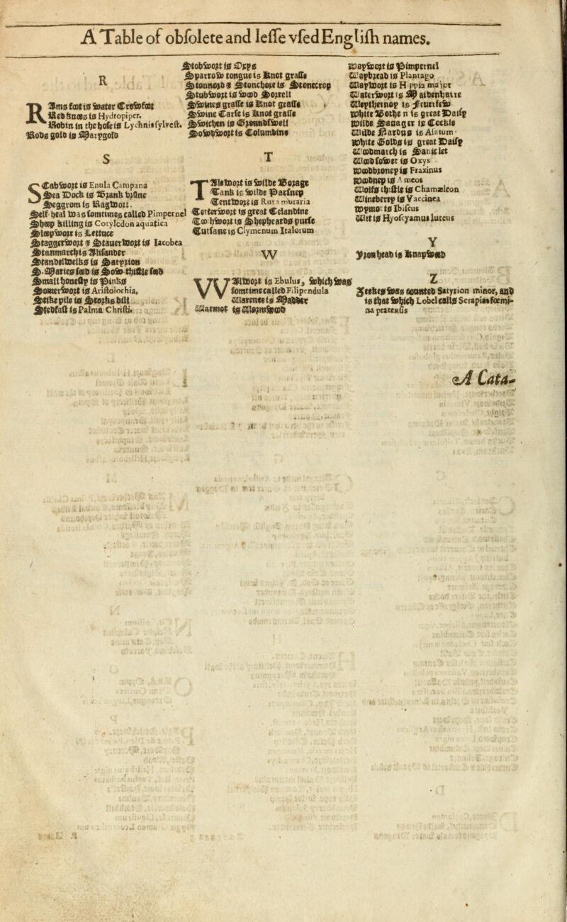 A Table of obfolete and IeiTe vfedEngliih names. R R Umo foot t0 frater Crofrfoot We6&oc8ot0 Hydropipcr. 5'tobfco?tf0 j£>pattofr tongae is fctict graffe 5 >tonno>b& ^toncljoteio &tontcrop jfctabfrojtt »0 fr®b j&OireU S>fr Wte0 graffe i0 fcnot graffe « £>frwe Carfe in ftnot graffe ’ Iftobm in tljcbofeln Lychnii fylvcft. g>fetcben (0 ^ottnbffrei! «obs goto (0 SJJtetpgoID £>ofrbfro*t io Colambtne S Cabfrojtt 10 Enul.i Campana •T* 31 ltooiti 0 SiiHt IBoiage $ea JDocfe 10H 5 ?anb tydne I ^anb Io S*>tlUe patinep &cggrotn io «aglBo«. Centtoot* (0 Rata mtinna J&elf t)cal toasiomtimescaliebPimpemel Certerfrojt 10great Celanbtne S>b®P HUitng io Cotyledon aquatica €® 1 tf»ojtt 0 S>ljep&eatb0 patie SDlapfrotr is JLetlace Catfanc ts Clymenum Icalotum ¿>taggittoo]tt f ¿tauertooit 10 Iacobca ifctanmarctjts JUifanber ^tanbtllselb0(0 £>atpiton 3 >. paties feeb (0 &ofr tblftle feeb Urnali bonettp io fMnbo ^omerfrojt 10 Ariftolochia, £>tlbepile 10 3 >ro?b 0 bili $tebfaft is Palma chrifti. »¿.iitotfaj*<«..- i *1 u ..\tqu 4 ^ 0 /t 3 ><U 5 ,jj li x li.U’** :i vj . i idUU W joapteoit io $Mtnpernil SL’apb;tab 10 plantago 2 fta?t 00 ?c is H ppia maior 2 £atcrfri>?t ts $9 aibenbaue dleptljetnop ts ¡tfiuttftfr BPl)«eS 5 otbe n io great ©atfp BDtlbt 4 s>aaaget tpCocble SI! libe Jfr at Das te Alatum K>i)ite^olt0i0 great 3 Daif? Slcobmauljls ifcanlclet Sltobfofrer io Oxys iipoobbroncp i 0 Fraxinus BDODbnep t 0 A meos SUOlf 0 tbffle 10 Chamxlcon SUinebertp 10 Yac cinea bppmo ts Ibifcus Si! it 10 Hyofcyamui luteus beabis »naptoetb W 3 Wttsj.e is Ebulus, Sobti^feas' Z (¡omttntccallebFilipendula 3 ^tebc 0 i 08 s coonteb Satyrion minor, anb CCiareneets ^abber tstljatfrbicb LobclcaU 0 Serapi»foem»- ^stmot <0®{«rofo©6 na pratentis . p 1 Lsdtit* t;# < rtl‘ r< <lT<u Jt t j -■-•i ' ■ itr 4 -! v-)j> 101$* ®VSft ’ P y>iJ ..-,r a ru t -J-Bl