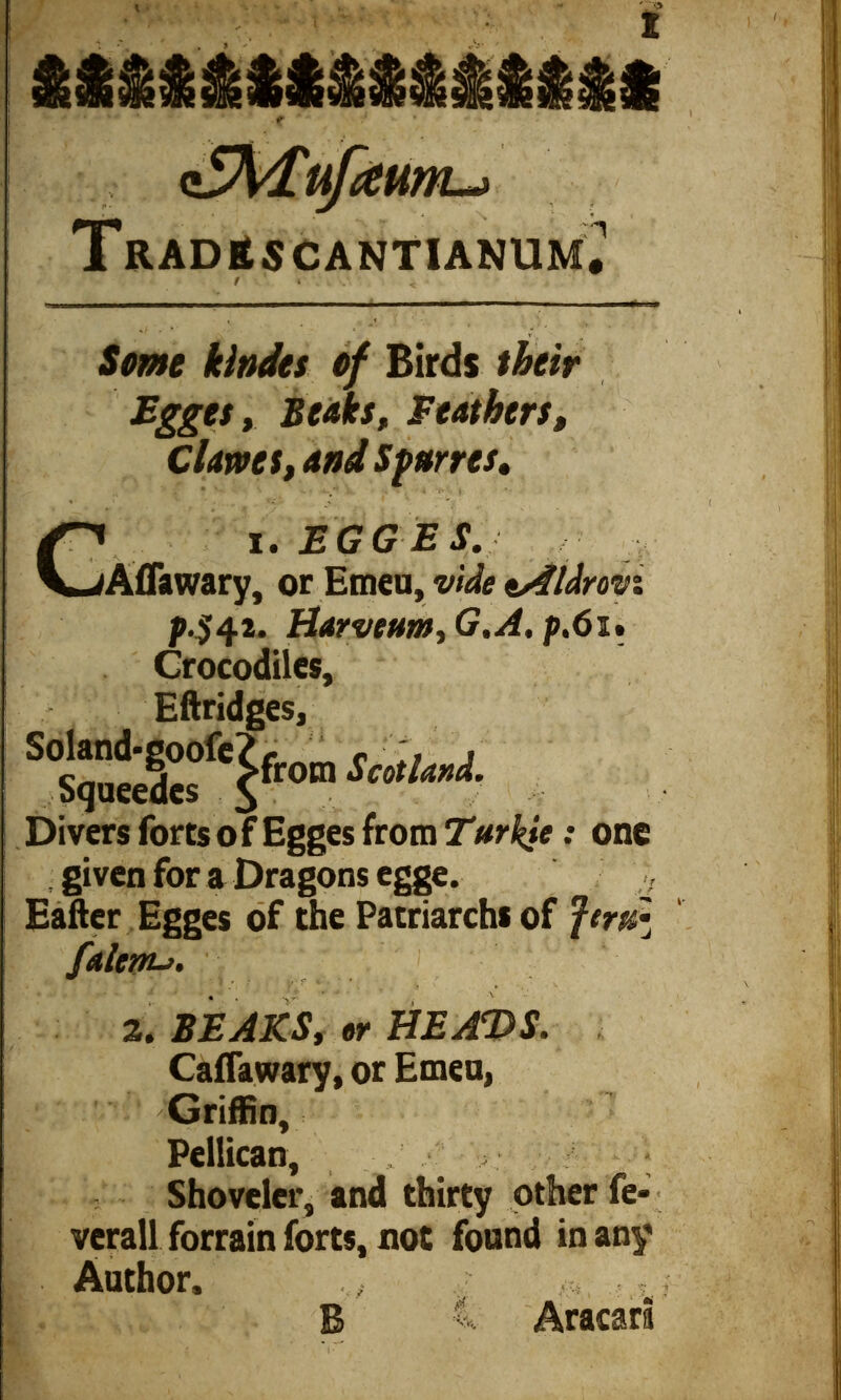 r <£\£ufaunLj Tradrscantianumu / * . * i. 2 Some klndts of Birds their Egges, Beaks, , Clams,and Sfar res, i. EGGES. f Afiawary, or Emeu, p.$ 42. Harveum,G,A, p.61» Crocodiles, Eftridges, S< Sqotdts f ^ fr0m Divers forts of Egges from Turkje: one given for a Dragons egge. Eafter Egges of the Patriarchs of feral falenu. 2. BEAKS, or HEADS. Caflawary, or Emeu, 1 Griffin, Pellican, , y. : ; Shoveler, and thirty other fe- verall forrain forts, not found in any Author, ,, ,• 'B 4 Aracari