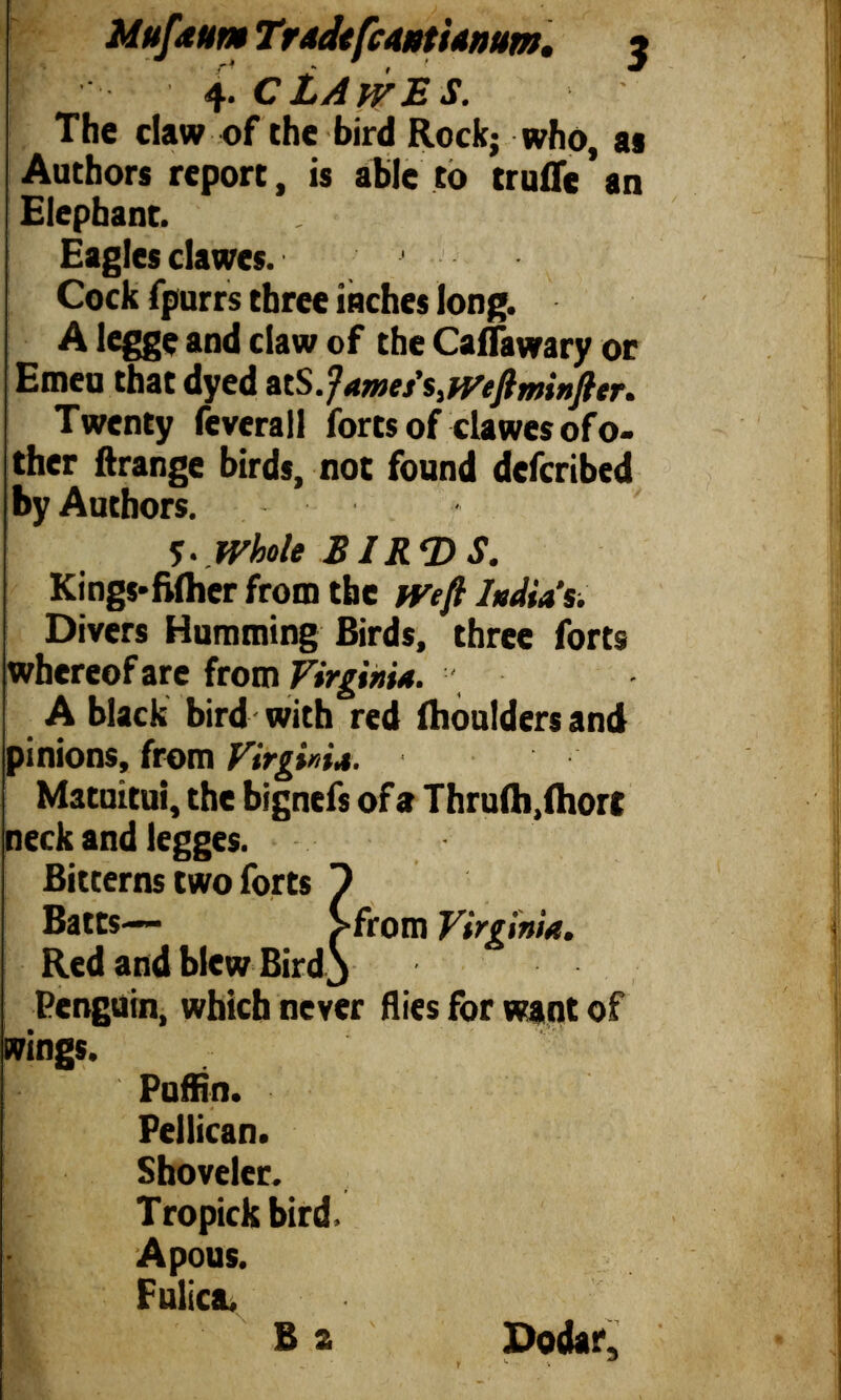 Mufaum TradefcANtUnum. 3 f Thedaw of the bird Rock; who, as Authors report, is able to trufle an Elephant. Eagles dawes. Cock fpurrs three inches long. A legge and claw of the Caflawary or Emeu that dyed &tS.fames’s ) Weftminfter. Twenty feverall forts of clawes ofo- ther ftrange birds, not found defcribed by Authors. •¡. Whole Kings*fiiher from the weft India’s. Divers Humming Birds, three forts whereof are from Virginia. A black bird with red ihoulders and pinions, from Virginia. Matuitui, the bignefs of a Thruib,Chore neck and legges. Bitterns two forts 7 Batts— >from Virginia. Red and blew Bird 3 Penguin, which never flies for want of wings. IT Puffin. Peilican. Shoveler. Tropick bird. Apous. Fulica. B a Dodar,