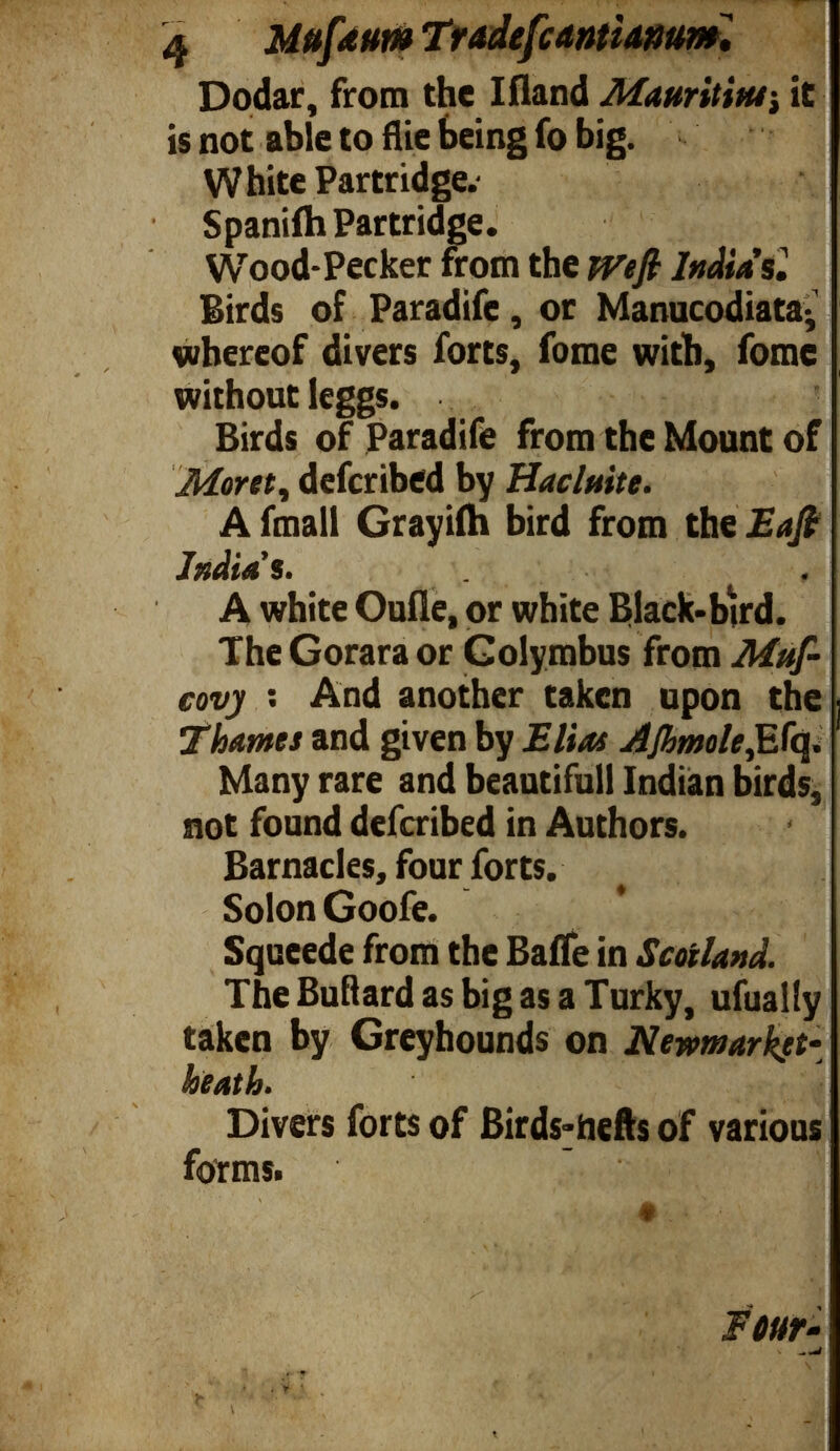 Dodar, from the Ifland $ it is not able to flie being fo big. White Partridge.' Spaniih Partridge. ( W T ood-Pecker from the India's. Birds of Paradife, or Manucodiata^ whereof divers forts, fome with, fomc without ieggs. Birds of Paradife from the Mount of Moret, defcribed by Hacluite. A fmall Grayiih bird from the Eaft India's. A white Ouile, or white Black-bird. The Gorara or Golymbus from Mttf- covy : And another taken upon the Thames and given by Elias Ajhmolejifq. Many rare and beautiful! Indian birds, not found defcribed in Authors. Barnacles, four forts. Solon Goofe. Squeede from the BaiTe in Scotland. The Bullard as big as a Turky, ufually I taken by Greyhounds on heath. Divers forts of Birds-hefts of various forms. Four- >