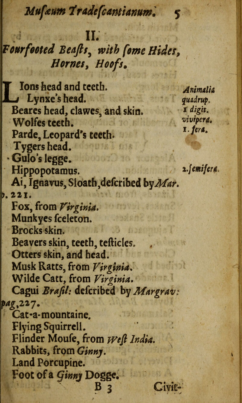 Mu fa urn Tradefcantianum « II. Four fated Beafts } with fome Hides Hornes , Hoofs, L ions head and teeth. Lynxes head. Beares head, clawes, and skin. Wolfes teeth. Parde, Leopard’s teeth. Tygershead. * Gulo’s legge. Hippopotamus. Ai, Ignavus, Sloath,defer ihed by Mar. 9.221. Fox, from Virginia. Munkyes fceleton. Brocks skin. [. Beavers skin, teeth, tefticles. Otters skin, and head. Musk Ratts, from Virginia. | Wilde Catt, from Virginia. Cagui Brajil: deferibed by Margrav pag,227. Cat*a-mountaine. Flying Squirrell. Flinder Moufe, from weft India. Rabbits, from G'mnj. Land Porcupine. Foot of a (jinnj Dogge. 1 4 B 3 Civic / . • AnimalU quidrup „ i digit, vi viper a. i.Jemiferfi