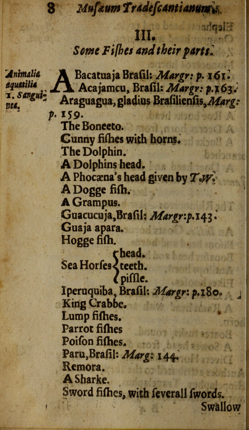 8 llttfeum Tradefcmiammv Seme Fifhu and their parts'. \dnhntUt A Bacatuaja Brafil: egMilU ^ Acajamcu, Brafil: p.j.6$. Araguagua, gladius Braiilienfis^iirg.* 5 p. IJ9- The Boneeto. Cunny fiihes with horns. The Dolphin. A Dolphins head. A Phocaena’s head given by T>w\ A Dogge filh. A Grampus. Guacucuja,Brafil: 143.' Guaja apara. Hogge filh. rhead. Sea Horfes< teeth. i (piffle. Iperuquiba, Brafil: Margr. 180. > KingCrabbe. 7 Lump fiihes. * , Parrot fiihes Poifon fiihes. Paru,Brafil: Margi 144. Remora. ASharke. Sword fiihes, with feverall fwords. i ' : Swallow »—- • J