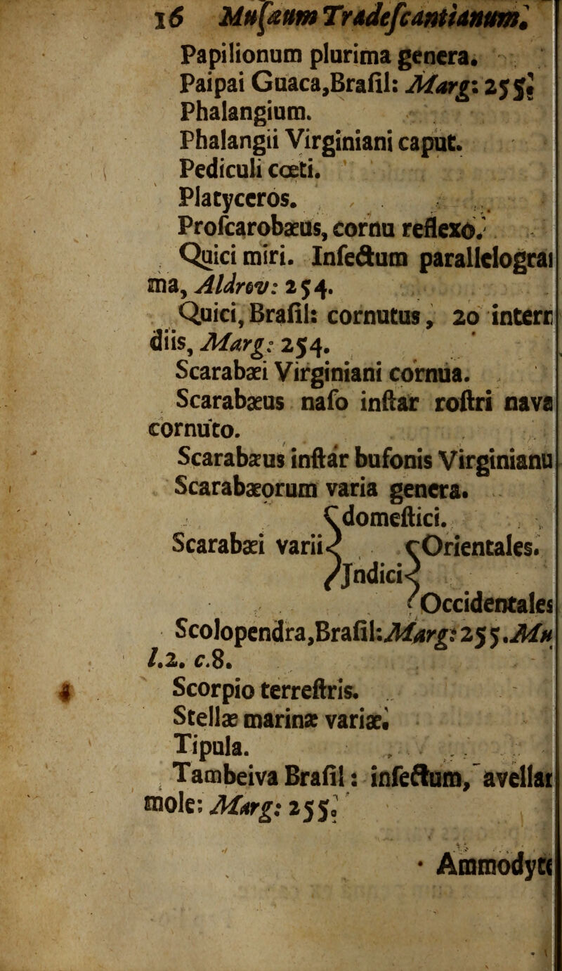 Papilionum plurima genera. Paipai Guaca,Braiil: Margx 255« Phalangium. Phalangii Virginiam caput. Pediculi coeti. Platyceros. - Profcarobaeus, cornu reflexo. Quicimiri. Infeftum parallclograi ma, Aldnv: 254. Quici,Brafll: cornutus, 20 interr diis, Marg: 254. Scarabaei Virginiani cornua. Scarabaeus nafo inftar roftri nava cornuto. Scarabaus inftar bufonis Virginianu Scarabaeorum varia genera. ^^■1 domcftici. Scarabaei varii<J cOrientales. 'Jndici< Occidentale; Scolopendra, BraGUJIarg: 25 5 ,Mh 1 . 2 . Scorpio terreftris. > Stellae marinx variae. Tipula. Tambeiva Brafil : infeftum/avellat mole; M*trg: 255,