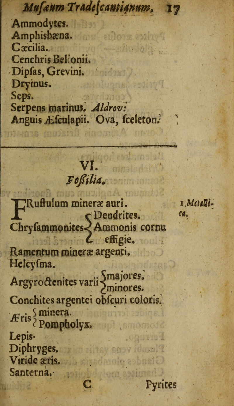 Mufiettm TradtjcaMiamm, tj Ammodytes. Amphisbaena. Caecilia. Cenchris Belionii. Dipfas, Grevini. Dryinus. Seps. ' ^ : Serpens marina*, Aldrov: Anguis jEfculapii. Ova, fceleton; ' — VI. Fofitlk. ~rl F Ruftulum minerae auri. c Dendrites. Chryfammonites«? Ammonis cornu c effigie. Ramentum minerae argenti. Helcyfma. 1 j : Argyro&enites varii 5 m . a i°*^* OJ ¿minores. Conchites argentei obfcuri coloris? a . Sminera. s ? Pompholyx. Lepis* Diphryges. Viride aeris. Santerna,- C - Pyrites i.MeitUi - «•