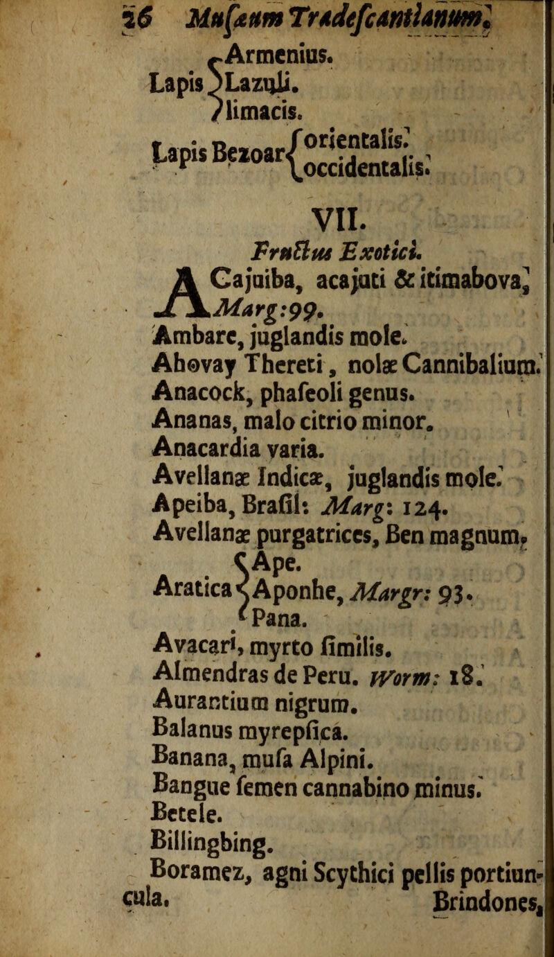i$ Mufenm Trtdefcmhnml Frttttttt Exotici. A Cajuiba, acajuti & itimabova, Marg:9$, Ambare, juglandis mole.. Abovay Thereti, nolae Cannibaliura. Anacock, phafeoli genus. Ananas, malo cicrio minor. Anacardia varia. Avellanae Indicas, juglandis mole. Apeiba, Brafil: Margi 124. Avellanae purgatrices, Ben magnum. <A P e. Aratica^Aponbe, Margr: 93. /Pana. A vacari, myrto fimilis. Almendras de Peru, ivorm: 18.’ Aurantiutn nigrum. Balanus myrepfica. Banana, mufa Alpini. Bangue femen cannabino minus. - Betele. Billingbing. Boramez, agni Scythici pellis portum cula. Brindones, orientalis. occidentalis. VII.