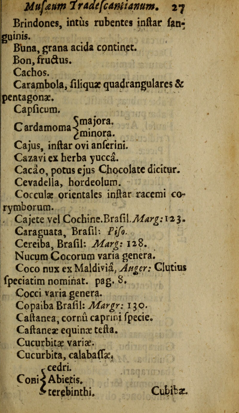 Brindones, intus rubentes inftar fan- guinis. . Buna, grana acida continet. Bon, frudus. Cachos. Carambola, fili quae quadrangulares & pentagonae. Capficum. C ardamoma3”^°™' ¿minora. Cajus, inftar ovi anferini. Cazavi ex herba yucca. Cacao, potus ejus Chocolate dicitur. Cevadella, hordeolum. Cocculae orientales inftar racemi co- rymborum. . Cajeteve| Cochine.Brafil,^irg;i23. Garaguata, Brafil-. Pifo. Ccreiba, Brafil*. M 128. Nucum Cocorum varia genera. Coco nux ex Maidivia, Aitger: Glutius fpeciatim nominat. pag. 3. Cocci varia genera. Copaiba Brafil: Margr; 130. Caftanea, cornu caprini fpecie. i Caftaneae equinae tefta. Cucurbitae variae. Cucurbita, calabaiTae. r cedri. Coni < Abietis. £ terebinthi. Cubibae.