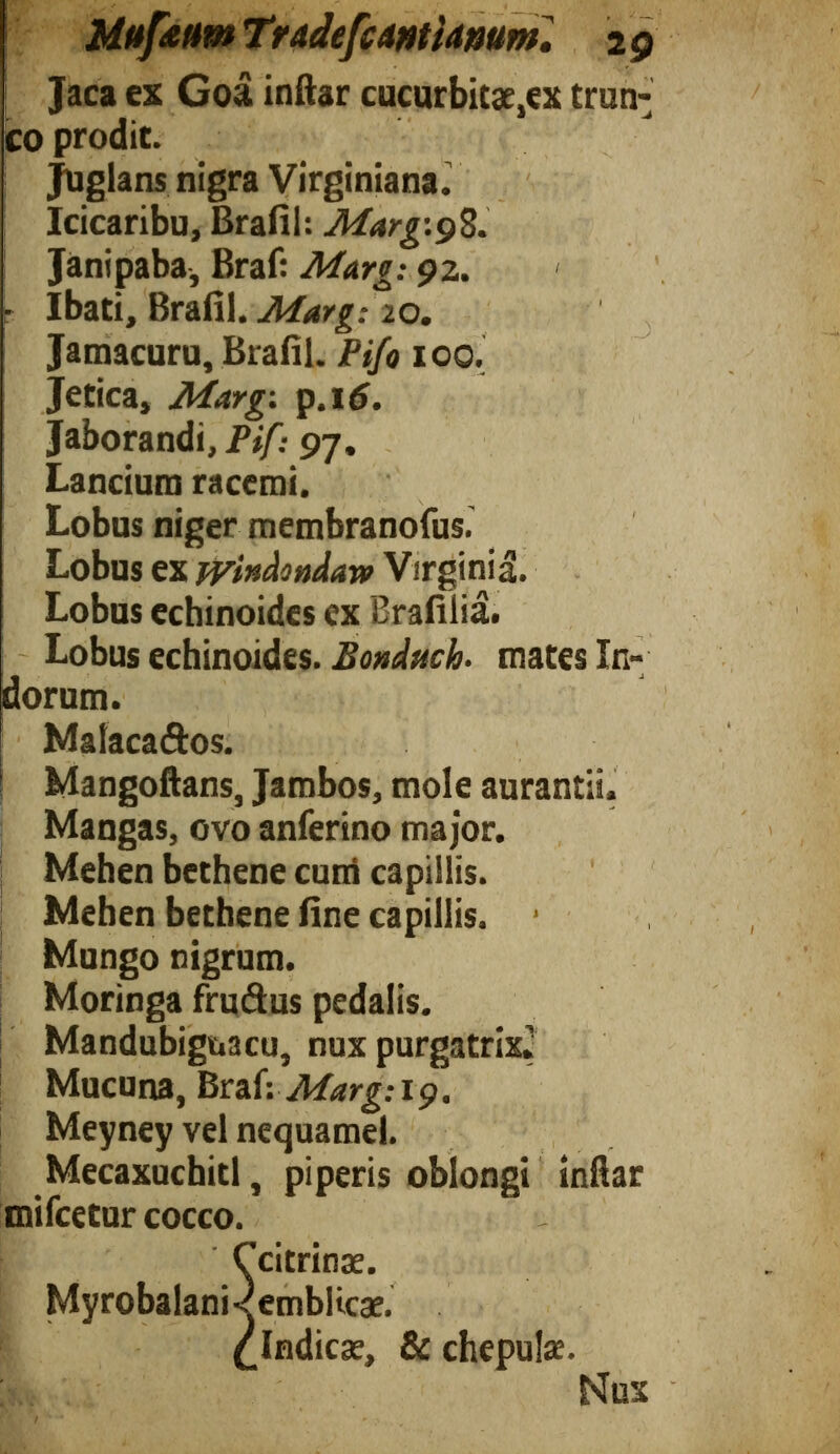 Jaca ex Goá inflar cucurbicae,ex trun- co prodit. Juglans nigra Virginiana. Icicaribu, Brafil: Marg: 98. Janipaba, Braf: Marg: 92. i- Ibati, Brafil. Marg: 20. i Jamacuru, Brafil. Pifo 100. Jetica, Marg : p.i 6. Jaborandi, Pif: 97. Lancium racemi. Lobus niger membranofus. Lobus ex wincLonÁaw Virginia. Lobus echinoides ex Brafiiiá. Lobus echinoides. Bonduch- mates In dorum. ; Maíaca&os. j Mangoftans, Jambos, mole aurantii. Mangas, ovo anferino major. Mehen bethene cum capillis. Meben bethene fine capillis. 1 Mungo nigrum. Moringa fruiflus pedalis. Mandubiguacu, nux purgatrix^ Mucuna, Braf: Marg: 19. Meyney vel nequamel. Mecaxuchitl, piperis oblongi inflar mifcetur cocco.