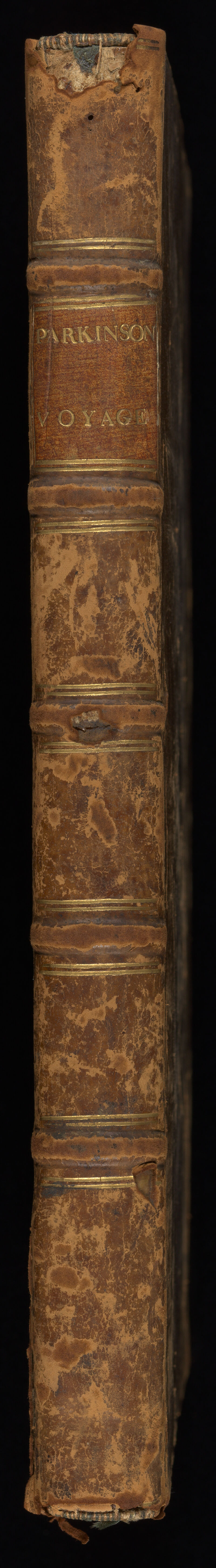 No text description is available for this image