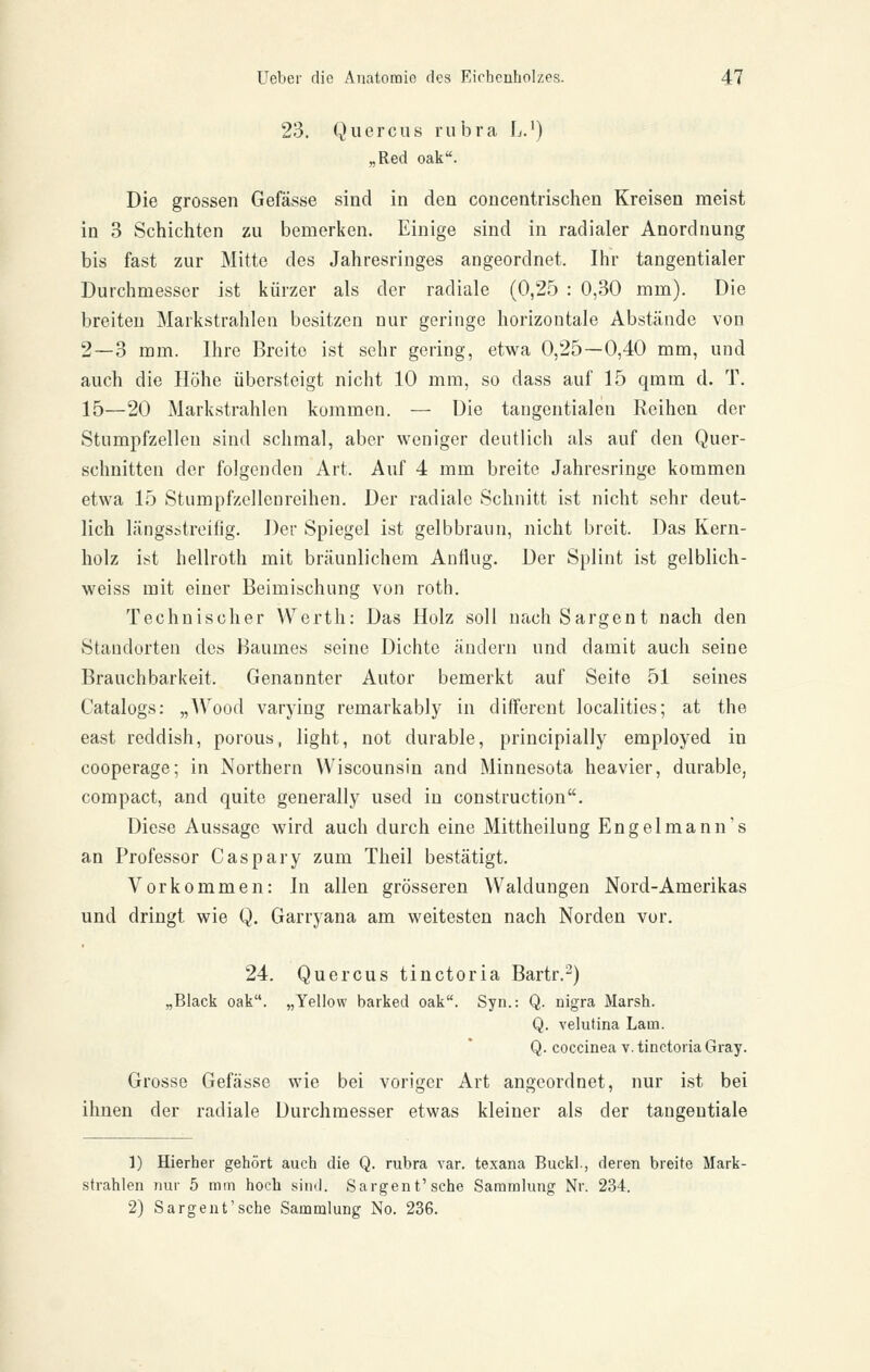 23. Quercus rubra L.') „Red oak. Die grossen Gefässe sind in den concentrischen Kreisen meist in 3 Schichten zu bemerken. Einige sind in radialer Anordnung bis fast zur Mitte des Jahresringes angeordnet. Ihr tangentialer Durchmesser ist kürzer als der radiale (0,25 : 0,30 mm). Die breiten Markstrahlen besitzen nur geringe horizontale Abstände von 2—3 mm. Ihre Breite ist sehr gering, etwa 0,25—0,40 mm, und auch die Höhe übersteigt nicht 10 mm, so dass auf 15 qmm d. T. 15—20 Markstrahlen kummen. — Die tangentialen Reihen der Stumpfzellen sind schmal, aber weniger deutlich als auf den Quer- schnitten der folgenden Art. Auf 4 mm breite Jahresringe kommen etwa 15 Stumpfzellenreihen. Der radiale Schnitt ist nicht sehr deut- lich längsstreifig. Der Spiegel ist gelbbraun, nicht breit. Das Kern- holz ist hellroth mit bräunlichem Anflug. Der Splint ist gelblich- weiss mit einer Beimischung von roth. Technischer Werth: Das Holz soll nach Sargent nach den Standorten des Baumes seine Dichte ändern und damit auch seine Brauchbarkeit. Genannter Autor bemerkt auf Seite 51 seines Catalogs: „Wood varying remarkably in diiferent localities; at the east reddish, porous, light, not durable, principially employed in cooperage; in Northern Wiscounsin and Minnesota heavier, durable, compact, and quite generally used in construction. Diese Aussage wird auch durch eine Mittheilung Engelmann's an Professor Caspary zum Theil bestätigt. Vorkommen: In allen grösseren Waldungen Nord-Amerikas und dringt wie Q. Garryana am weitesten nach Norden vor. 24. Quercus tinctoria Bartr.-) „Black oak. „Yellow barked oak. Syn.: Q. nigra Marsh. Q. velutina Lam. Q. coccinea v. tinctoria Gray. Grosse Gefässe wie bei voriger Art angeordnet, nur ist bei ihnen der radiale Durchmesser etwas kleiner als der tangentiale 1) Hierher gehört auch die Q. rubra var. texana Buckl., deren breite Mark- strahlen nur 5 mm hoch sind. Sargent'sehe Sammlung Nr. 234.