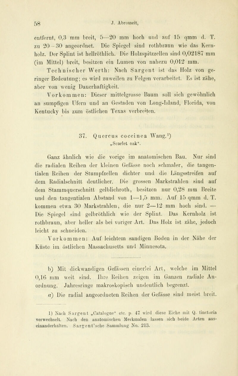 entfernt, 0,3 mm breit, 5—20 mm hoch und auf 15 qmm rl. T. zu 20-30 angeordnet. Die Spiegel sind rothbraun wie das Kern- holz. Der Splint ist hellröthlich. Die Holzspitzzellen sind 0,02187 mm (im Mittel) breit, besitzen ein Lumen von nahezu 0,012 mm. Technischer Werth: Nach Sargent ist das Holz von ge- ringer Bedeutung; es wird zuweilen zu Felgen verarbeitet. Es ist zähe, aber von wenig Dauerhaftigkeit. Vorkommen: Dieser mittelgrosse Baum soll sich gewöhnlich an sumpfigen Ufern und an Gestaden von Long-Tsland, Florida, von Kentucky bis zum östlichen Texas verbreiten. 37. Quercus coccinca Wang.^) „Scarlet oak. Ganz ähnlich wie die vorige im anatomischen Bau. Nur sind die radialen Reihen der kleinen Gefässe noch schmaler, die tangen- tialen Reihen der Stumpfzellen dichter und die Längsstreifen auf dem Radialschnitt deutlicher. Die grossen Markstrahlen sind auf dem Stammquerschnitt gelblichroth, besitzen nur 0,28 mm Breite und den tangentialen Abstand von 1—1,5 mm. Auf 15 qmm d. T. kommen etwa 30 Markstrahlen, die nur 2—12 mm hoch sind. — Die Spiegel sind gelbröthlich wie der Splint. Das Kernholz ist rothbraun, aber heller als bei voriger Art. Das Holz ist zähe, jedoch leicht zu schneiden. Vorkommen: Auf leichtem sandigen Boden in der Nähe der Küste im östlichen Massachusetts und Minnesota. b) Mit dickwandigen Gefässen einerlei Art, welche im Mittel 0,16 mm weit sind. Ihre Reihen zeigen im Ganzen radiale An- ordnung. Jahresringe makroskopisch undeutlich begrenzt. a) Die radial angeordneten Reihen der Gefässe sind meist breit. 1) Nach Sargent „Catalogae etc. p. 47 wiril diese Eiche mit Q. tincturia verwechselt. Nach den anatomischen Merkmalen lassen sich beide Arten aus- einanderhalten. Sarcfent'sche Sammlung No. 213.