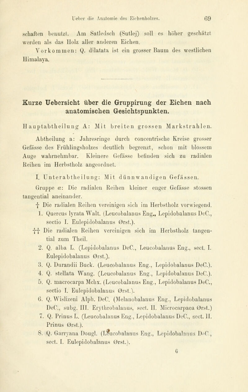 Schäften benutzt. Am Satledsch (Sutlej) soll es höher geschätzt werden als das Holz aller anderen Eichen. Vorkommen: Q. dilatata ist ein grosser Baum des westlichen Himalaya. Kurze Uebersicht über die Gruppirung der Eichen nach anatomischen Gesichtspunkten. Hauptabtheilung A: Mit breiten grossen Markstrahlen. Abtheilung a: Jahresringe durch concentrische Kreise grosser Gefässe des Frühliugsholzes deutlich begrenzt, schon mit blossem Auge wahrnehmbar. Kleinere Gefässe befinden sich zu radialen Reihen im Herbstholz angeordnet. I. Unterabtheilung: Mit dünnwandigen Gefässeu. Gruppe a: Die radialen Reihen kleiner enger Gefässe stossen tangential aneinander. f Die radialen Reihen vereinigen sich im Herbstholz vorwiegend. 1. Quercus lyrata Walt, (Leucobalanus Eng., Lepidobalanus DeC, Sectio I. Eulepidobalanus 0rst.). ff Die radialen Reihen vereinigen sich im Herbstholz tangen- tial zum Theil. 2. Q. alba L. (Lepidobalanus DeC, Leucobalanus Eng., sect. L Eulepidobalanus 0rst.). 3. Q. Durandii Bück. (Leucobalanus Eng., Lepidobalanus DeC). 4. Q. stellata Wang. (Leucobalanus Eng., Lepidobalanus DeC). 5. Q. macrocarpa Mchx. (Leucobalanus Eng,, Lepidobalanus DeC, Sectio L Eulepidobalanus 0rst.\ 6. Q. Wislizeni Alph. DeC, (Melanobalanus Eng., Lepidobalanus DeC, subg. HL Erythrobalanus, sect. H. Microcarpaea 0rst.) 7. Q. Prinus L. (Leucobalanus Eng., Lepidobalanus DeC, sect, IL Prinus 0rst.). 8. Q. Garryana Dougl. (Leucobalanus Eng., Lepidobalanus DpC, sect. L Eulepidobalanus 0rst.}, 6