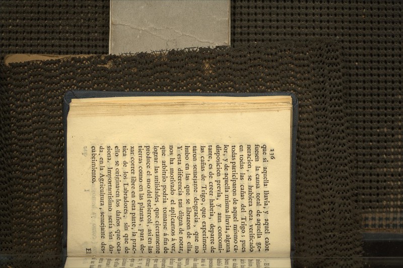 ty6 que si aquella lluvia, y aquel calor fuesen la causa total de aquella ge- neración, se hubiera esta verificado en todas las cañas del Trigo 5 pues todas participaron de aquel mismo ca- lor, y de aquella misma lluvia, alguna disposición previa, y aun concomi- tante, es de creer habría, departe de las cañas de Trigo, que experlmen-i taron semejante desgracia , que noi hubo en las que se libraron de ella,> Y esta diferencia tan digna de notara nos ha motivado el aplicarnos á ver¿ que arbitrio podría tomarse á fin de Ipgrar las utilidades, que ciertamente • produce el uso del estiércol, asi en las ^ tierras como en las plantas , para de- ,, xar correr libre en esta parte, la prac- ( tica de los Labradores, sin que de j,., ello se orlgina'íen los daños que oca- ¡¡^ siona. Importantísimo sería sin du- . da, en la Agricultura , semejante des- , 5^ cubrimiento. V; . El