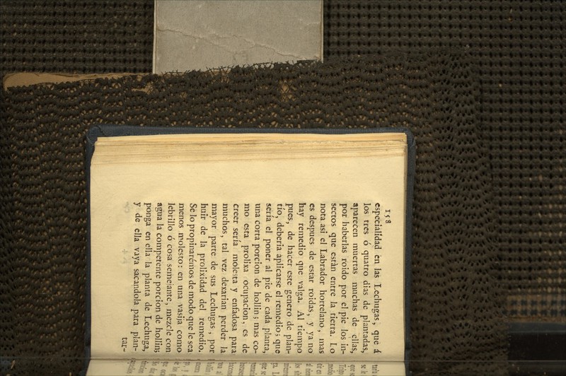 153 especialidad en las Lechugas, que á los tres ó quatro dias de plantadas, aparecen muertas muchas de ellas, por haberlas roído por el pie los in- sectos que están entre la tierra. Lo nota asi el Labrador hortelano, mas es después de estar roídas, y ya no hay remedio que valga. Al tiempo pues, de hacer este genero de plan- tío, debería aplicarse el remedio; que sería el poner al pie de cada planta, una corta porción de hollín 5 mas co- mo esta prolixa ocupación, es de creer sería molesta y enfadosa para muchos, tal vez dexarian perder la. mayor parte de sus Lechugas , por huir de la prolixídad del remedio. Se lo propinaremos de modo que le sea menos molesto: en una vasija como lebrillo ó cosa semejante, mezcle con agua la competente porción de hollinj ponga en ella la planta de Lechuga, y de ella vaya sacándola para plan- tar-