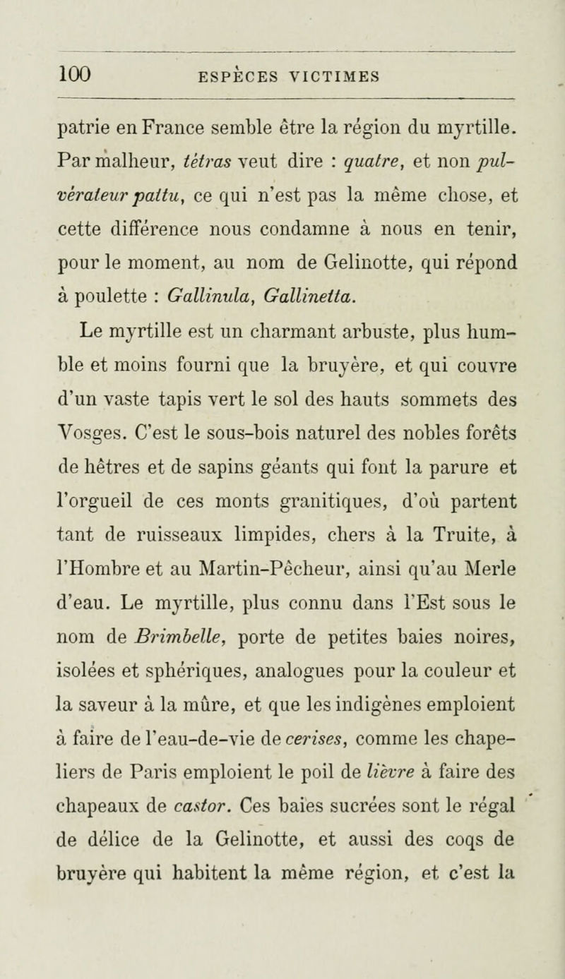 patrie en France semble être la région du myrtille. Par malheur, tétras veut dire : quatre, et non pul- vérateur pattu, ce qui n'est pas la même chose, et cette différence nous condamne à nous en tenir, pour le moment, au nom de Gelinotte, qui répond à poulette : Gallinula, Gallineita. Le myrtille est un charmant arbuste, plus hum- ble et moins fourni que la bruyère, et qui couvre d'un vaste tapis vert le sol des hauts sommets des Vosges. C'est le sous-bois naturel des nobles forêts de hêtres et de sapins géants qui font la parure et l'orgueil de ces monts granitiques, d'où partent tant de ruisseaux limpides, chers à la Truite, à l'Hombre et au Martin-Pêcheur, ainsi qu'au Merle d'eau. Le myrtille, plus connu dans l'Est sous le nom de Brimbelle, porte de petites baies noires, isolées et sphériques, analogues pour la couleur et la saveur à la mûre, et que les indigènes emploient à faire de l'eau-de-vie de cerises, comme les chape- liers de Paris emploient le poil de lièvre à faire des chapeaux de castor. Ces baies sucrées sont le régal de délice de la Gelinotte, et aussi des coqs de bruyère qui habitent la même région, et c'est la