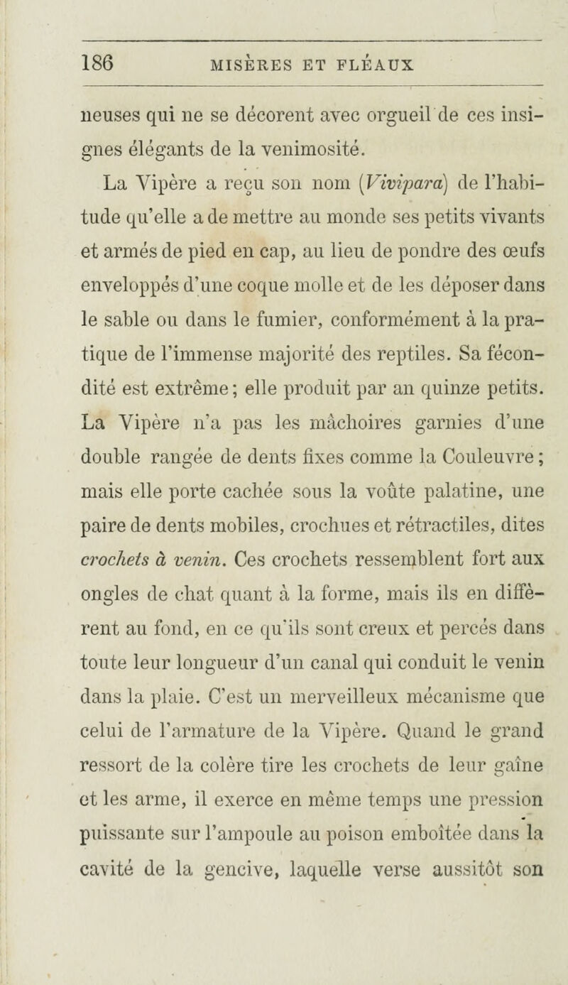 lieuses qui ne se décorent avec orgueil de ces insi- gnes élégants de la venimosité. La Vipère a reçu son nom [Vivipara) de l'habi- tude qu'elle a de mettre au monde ses petits vivants et armés de pied en cap, au lieu de pondre des œufs enveloppés d'une coque molle et de les déposer dans le sable ou dans le fumier, conformément à la pra- tique de l'immense majorité des reptiles. Sa fécon- dité est extrême ; elle produit par an quinze petits. La Vipère n'a pas les mâchoires garnies d'une double rangée de dents fixes comme la Couleuvre ; mais elle porte cachée sous la voûte palatine, une paire de dents mobiles, crochues et rétractiles, dites crochets à venin. Ces crochets ressemblent fort aux ongles de chat quant à la forme, mais ils en diffè- rent au fond, en ce qu'ils sont creux et percés dans toute leur longueur d'un canal qui conduit le venin dans la plaie. C'est un merveilleux mécanisme que celui de l'armature de la Vipère. Quand le grand ressort de la colère tire les crochets de leur gaine et les arme, il exerce en même temps une pression puissante sur l'ampoule au poison emboîtée dans la cavité de la gencive, laquelle verse aussitôt son