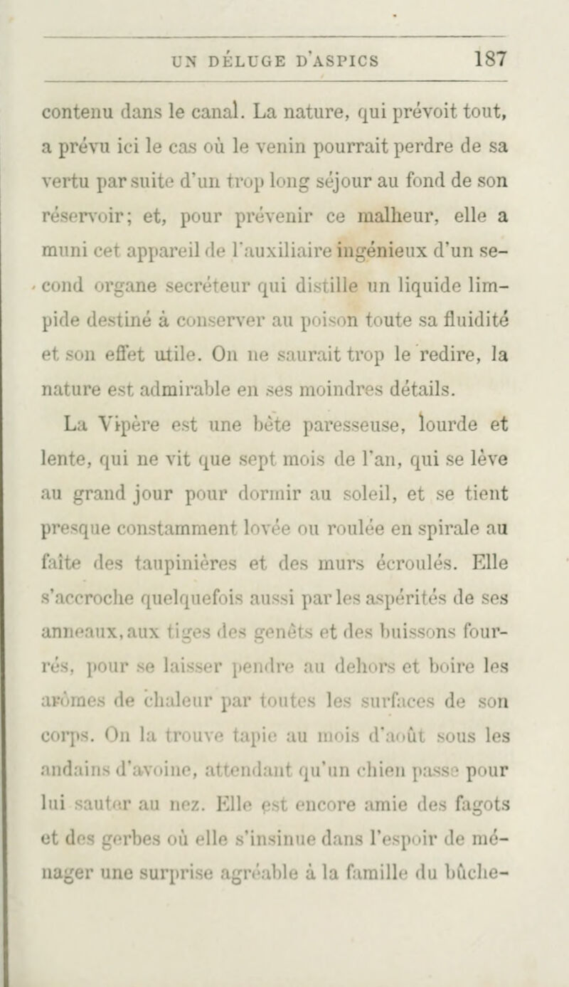 contenu dans le canal. La nature, qui prévoit tout, a prévu ici le cas où le venin pourrait perdre de sa vertu par suite d'un trop long séjour au fond de son résen'oir; et, pour prévenir ce malheur, elle a muni cet appareil de l'auxiliaire ingénieux d'un se- cond organe sécréteur qui distille un liquide lim- pide destiné à conserver au poison toute sa fluidité et son effet utile. On ne saurait trop le redire, la nature est admirable en ses moindres détails. La Vipère est une bète paresseuse, iourde et lente, qui ne vit que sept mois de l'an, qui se lève au grand jour pour dormir au soleil, et se tient presque constamment lovée ou roulée en spirale au iaîte des taupinières et des murs écroulés. Elle s'accroche quelquefois aussi par les aspérités de ses anneaux, aux tiges des genêts et des buissons four- rés, pour se laisser pendre au dehors et boire les arômes de chaleur par toutes les surfaces de son corps. On la trouve tapie au mois d'août sous les andains d'avoine, attendant qu'un chien pass:^ pour lui sautar au ne/.. Elle ç.st encore amie des fagots et des gerbes où elle s'insinue dans l'espoir de mé- nager une surprise agréable à la famille du bûche-
