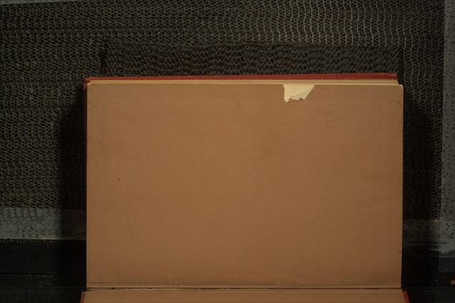 No text description is available for this image