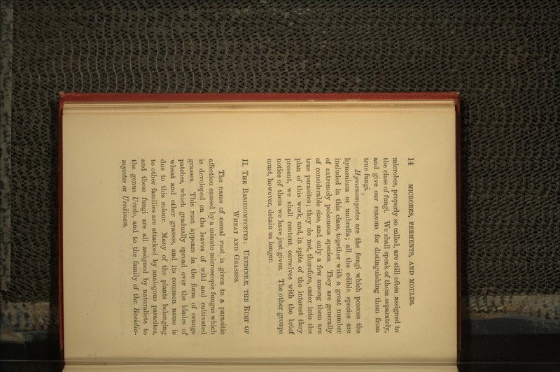 microbes, properly so called, are still often assigned to the class of fungi. We shall speak of them separately, and give our reasons for distinguishing them from true fungi. Hymenomycetes are the fungi which possess the hymenium or umbrella; all the edible species are included in this class, together with a great number of extremely poisonous species. They are generally of considerable size, and only a few among them are true parasites; they do not, therefore, enter into the plan of this work, and, in spite of the interest they present, we shall content ourselves with the brief notice of them we have just given. The other groups must, however, detain us longer. II. THE BASIDIOMYCETES : UREDINE^:, THE BUST OF WHEAT AND GRASSES. The name of cereal rust is given to a parasitic affection caused by a minute microscopic fungus which is developed on the leaves of wild and cultivated grasses. This rust appears in the form of orange patches, which gradually spread over the blades of wheat and other grasses, and its common name is due to this colour. Many of the plants belonging to other families are attacked by analogous parasites, and these fungi are all assigned by naturalists to the genus Uredo, and to the family of the Basidio- mycetes or Uredinece.