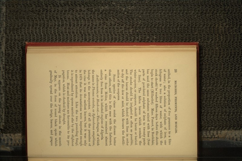 scribed, in the proportion of five grammes to a litre of water; also a solution of sulphate of iron, one kilogram to two litres of water, with which the stock should be washed fifteen days before the shoots begin to start (Millardet). Mme. Ponsot, in Bordelais, has used the same substance mixed with lime (four parts of powdered sulphate of iron to twenty parts of lime). The fallen leaves which contain the winter spores, or oospores, should be burnt or buried. The stocks should be irrigated as often as possible, and the leaves should be dusted with lime in order to dry off the dew or mist, which favours the fertili- zation of the oospores. Some species of vines resist the disease better than others, and this is the case with the Labernet, a vine from MeMoc, which has remained almost entirely free from it in infected regions of Algeria. Anthracnosis, or Black-rot.—This fungus, of which the name is Phoma uvicola, or Sphaceloma ampelium, belongs to the ascomycetes. Of all the parasites of the vine it was the earliest known, but it was only in 1878 that its devastations were important enough to attract attention. Like the two preceding fungi, it is reproduced by spores carried afar by the slightest breeze. Heat and moisture are favourable to its pro- pagation, which is checked by drought. It appears on the young shoots in the month of May, in the form of round black spots which gradually spread over the twigs, leaves, and grapes