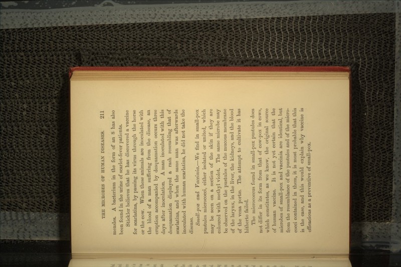measles. A bacterium in the form of an 8 has also been found in the urine of scarlet-fever patients. Stickler believes that he has discovered a vaccine for scarlatina, by passing its virus through the horse or the cow. When these animals are inoculated with the blood of a man suffering from the disease, an eruption accompanied by desquamation occurs three days after inoculation. A man inoculated with this desquamation displayed a rash resembling that of scarlatina, and when the same man was afterwards inoculated with human scarlatina, he did not take the disease. Small-pox and Vaccinia.—We find in small-pox pustules micrococci, either isolated or united, which may be seen on a section of the skin if they are coloured with methyl violet. The same microbe may be observed on the pustules of the mucous membrane of the larynx, in the liver, the kidneys, and the blood of the vena portse. The attempt to cultivate it has hitherto failed. The micrococcus found in small-pox pustules does not differ in its form from that of cow-pox in cows, which constitutes, as we know, the original source of human vaccine. It is not yet certain that the microbes of small-pox and vaccinia are identical, but from the resemblance of the pustules and of the micro- cocci contained in them, it is most probable that this is the case, and this would explain why vaccine is efficacious as a preventive of small-pox.