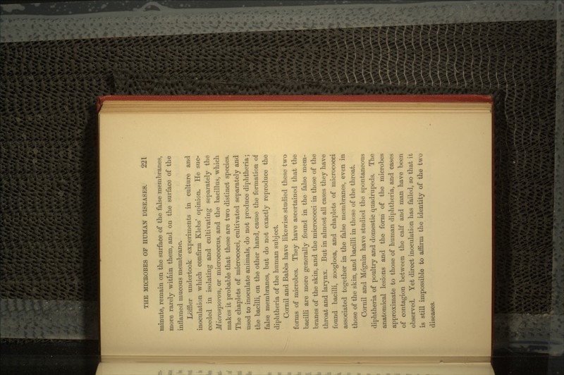 minute, remain on the surface of the false membranes, more rarely witnin them, and on the surface of the inflamed mucous membrane. Loffler undertook experiments in culture and inoculation which confirm Klebs' opinion. He suc- ceeded in isolating and cultivating separately the Microsporon, or micrococcus, and the bacillus, which makes it probable that these are two distinct species. The chaplets of micrococci, cultivated separately and used to inoculate animals, do not produce diphtheria; the bacilli, on the other hand, cause the formation of false membranes, but do not exactly reproduce the diphtheria of the human subject. Cornil and Babes have likewise studied these two fonns of microbes. They have ascertained that the bacilli are more generally found in the false mem- branes of the skin, and the micrococci in those of the throat and larynx. But in almost all cases they have found bacilli, zoogloea, and chaplets of micrococci associated together in the false membranes, even in those of the skin, and bacilli in those of the throat. Cornil and Megnin have studied the spontaneous diphtheria of poultry and domestic quadrupeds. The anatomical lesions and the form of the microbes approximate to those of human diphtheria, and cases of contagion between the calf and man have been observed. Yet direct inoculation has failed, so that it is still impossible to affirm the identity of the two diseases.