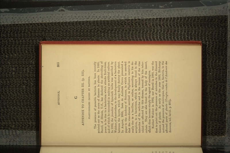 a APPENDIX TO CHAPTER III. (p. 131). PLANT-DISEASES CAUSED BY BACTERIA. The presence of parasitic bacteria has been recently pointed out as the cause of diseases in plants. In 1880, Burril, of Illinois, U.S., has declared the shrivelling of pears to be due to a bacterium which attacks fruit-trees, and of which he succeeded in making an artificial culture. In 1882, the jaundice of hyacinth bulbs was ascribed by Wakker, of Amsterdam, to the development of a bacterium between the layers, which may finally destroy the plant. In August, 1885, Luiz de Andrade Corvo presented a paper to the Academy of Sciences, in which he asserted that the vine-disease ascribed to Phylloxera vastatrix is really due to a bacillus, or rather, according to his de- scription, to a bacterium, which is always found in the tubercles of the radicles and in the tissues of the vine which are affected by this disease, termed by him tuber- culosis. They are also found in the body of the insect, Which thus becomes simply the agent of contagion. Neither Wakker in 1882, nor Burril in 1880, was the first to point out the presence of microbes in the diseased tissues of plants. As early as the year 1869, Bechamp noticed the presence of microzyma, that is, bacteria, in the affected parts of plants (Comptes rendus de VAcademie des Sciences, vol. Ixviii. p. 4GG).