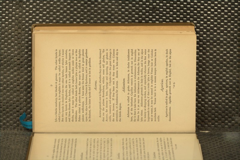 lyke a blacke morbery, but blacker & greater. The other kynde is called Lycoctonum, & in englishe it maye be called wolfes bayne. But this kynde is deuided into two other kyndes, of whiche I neuer sawe any kynde in Englande, the one hath leaues lyke crowfote, and blewe floures lyke hodes, and it is called muench kappen in duche, and it maye be called in englishe mokes coule or blewe wolfsbaine. The other kinde hath leaues lyke a playne tree or like Palma christi & yelowe floiu-es, thys maye be called in Englishe yelowe wolfesbayn. I haue sene the former kind in great plentie vpon the alpes bet^vene Clauena & Spelunca, and in manye gardines in Brabant, the latter kynde dyd I neuer se but in gardines. Acorus. Acorus groweth not in England, wherfore they are farre deceyued that vse the yelowe flourdeluce, whiche some call gladen, ^for Acorus, for Acorus is bote, bytinge and opening, but gladen is colde, vnsauery and astringent. I thynke that the great Galanga is the true Acorus. If they haue not it they maye vse Calamus aromaticus, or Asarabacca for Acorus. Acorus is bote and -dry in the thirde degree. Adiantum. Adiantura is called in greke Adianton, in duche iunkfrawen hare, of the herbaries Capillus veneris & groweth not in englad for it that is take here for Adiantum is trichomanes in Dioscorides. Howe be it ye may vse trichomanes for Adianto, for they are of lyke virtue. Adiantura groweth in Italy in welles, and in the alpes in watery or drepjTig rockes, and especially whereas the first water beg>'nneth to stande, if that a rocke lyke a browe, hange ouer the wel or water, it may be named in englishe Venus heir or Coloder maidens heir. Venus heir is in a meane tempre betwene bote & colde. Agaricus. Agaricus is called in greke agaricos, in english agarike, in duch daunesthawm. Agarike groweth not in Englad, but in the alpes »Avj.
