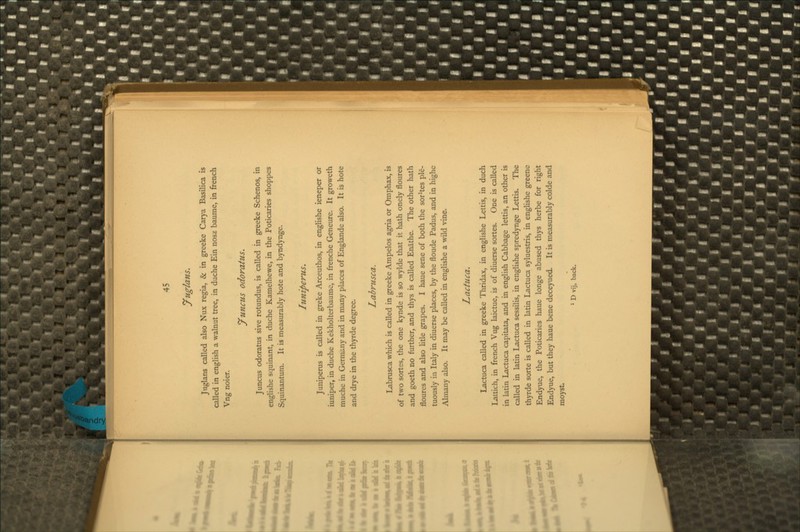 yuglans. Jiiglans called also Niix regia, & in greeke Car)'a Basilica is called in english a walnut tree, in duche Ein nosz baume, in french Vng noier. yuncus odoratus. Juncvis odoratus sive rotundas, is called in greeke Schenos, in englishe squinant, in duche Kamelhewe, in the Poticaries shoppes Squinantum. It is measurably bote and byndynge. luniperus. Junipenis is called in greke Arceuthos, in englishe ieneper or iuniper, in duche Kekholterbaumc, in frenche Geneure. It groweth muche in Germany and in many places of Englande also. It is bote and drye in the thyrde degree. Labrusca. Labrusca which is called in greeke Ampelos agria or Omphax, is of two sortes, the one kynde is so wylde that it hath onely floures and goeth no further, and thys is called Enathe. The other hath floures and also htle grapes. I haue sene of both the sorites ple- tuously in Italy in diuerse places, by the floude Padus, and in highe Almany also. It may be called in englishe a wild vine. Lactuca. Lactuca called in greeke Tliridax, in englishe Lettis, in duch Lattich, in french Vug laictue, is of diuerse sortes. One is called in latin Lactuca capitata, and in english Cabbage lettis, an other is called in latin Lactuca sessilis, in englishe spredynge Lettis. The thyrde sorte is called in latin Lactuca syluestris, in engUshe greene Endyue, the Poticaries haue longe abused thys herbe for right Endyue, but they haue bene deceyued. It is measurably colde and moyst. * D vij, ba<^