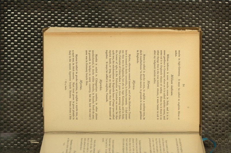 muche in high Germany. It maye be called in englishe Hirse or millet. Milium indicum. Milium indicum is nowe muche sowen in Italy, and it is in some gardines in Germany where as it is called turkishe corne, and some cal it in Englande wheate of turkey. Howe be it there is an other thynge that is the true turkish wheate, it were better to cal it after my iudgemet turkish millet, Morus. Morus is called in greeke morea, in english a mulbery tree, in duch maulberbaum ^in french murier, it groweth in diuerse gardines in Englande. Myrica. Myrica, otherwyse named tamarix, and of the Herbarics Tamar- iscus is named in duche tamariske, in frenche tameris. I dyd neuer see thys tree in Englande, but ofte in high Germany, and in Italy. The Poticaries of Colon before I gaue tliem warning vsed for thys, the bowes of vghe, & the Poticaries of London vse nowe for thys quik tree, the scholemaisters in Englande haue of longe tyme called rayrica heath, or lyng, but so longe haue they bene deceyued al together. It maye be called in englishe, Tamarik. Myrrhis. Myrrhis is called in Cabrygeshyre casshes, in other places mockecheruel, in duche wilder Peterlin, in frenche Persil de asne. It groweth in hedges in euery countrey, but the best that euer I sawe was in Germany besyde Bon. Myrtus. Myrtus is called in greeke myrrine, in english a myrtle tree, or a myrt tree, in frech meurte. Myrt trees growe in great plentie in Italy in the mount Appenine besyde Bonony. Some abuse a litle