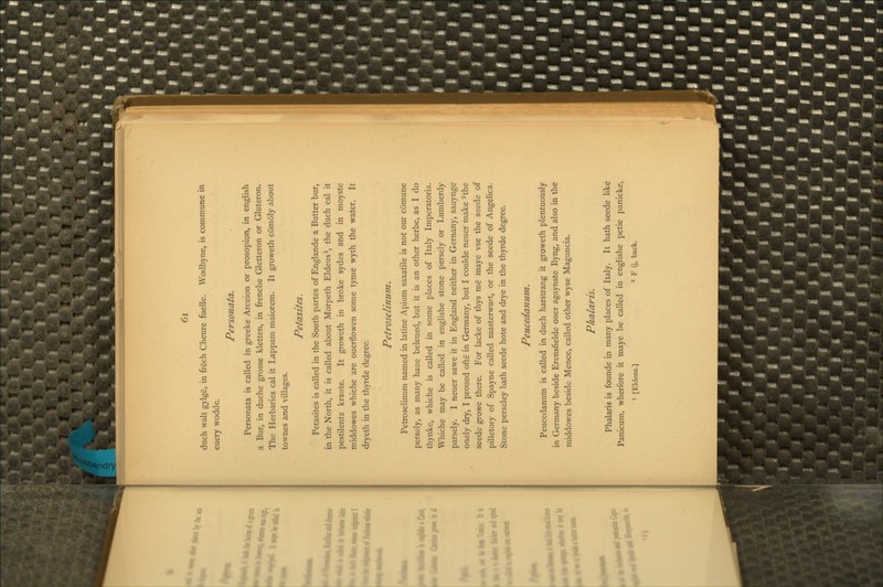 duch wait g>lge, in frech Cheure fuelle. Wodb)Tie, is commune in euery wodde. Personata. Personata is called in greeke Arceion or prosopion, in english a Bur, in duche grosse kletten, in frenche Gletteron or Gluteron. The Herbaries cal it Lappam maiorem. It groweth comoly about townes and villages. Petasites. Petasites is called in the South partes of Englande a Butter bur, in the North, it is called about Morpeth Eldeus^, the duch cal it pestilentz kraute. It groweth in broke sydes and in moyste middowes whiche are ouerflowen some tyme wyth the water. It dryeth in the thyrde degree. Petroselinum. Petroselinum named in latine Apium saxatile is not our comune persely, as many haue beleued, but it is an other herbe, as I do thynke, whiche is called in some places of Italy Imperatoria. Whiche may be called in englishe stone persely or Lumberdy parsely. I neuer sawe it in England neither in Gemany, sauynge onely dry, I proued ofte in Germany, but I coulde neuer make the seede growe there. For lacke of thys me maye vse the seede of pilletory of Spayne called masterwurt, or the seede of Angelica. Stone perseley hath seede hote and drye in the thyrde degree. Peuceda7ium. Peucedanum is called in duch harstrang it groweth plentuously in Germany beside Erensfielde ouer agaynste Byng, and also in the middowes beside Mence, called other wyse Maguncia, Phalaris. Phalaris is founde in many places of Italy. It hath seede like Panicum, wherfore it maye be called in englishe petie panicke, 1 [Eldens.] ^ p ij^ b^ck.