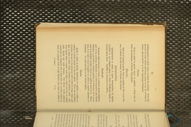 puddyng grasse, in duche poley, in french du pouliote. Peny ryal groweth in suche diches and watery places as are ful of water in wynter, and are dyred^ vp in the begynnyng of Summer. P^rus. Pyrus is called in greeke Apios, in englishe a Peare tree, in duche ein byrbaume, in frenche Vng poprier. Quercus. Quercus is named in greeke Drys, in english an Oke or an Eke tree, in duche ein eich baume, in frenche vng Chesne. Quinquefolium. Quinquefolium is called in greke Pentaphyllon, in english Cynkfoly or fyue fyngred grasse, in duche FunfFynger kraute, in frenche quinte fuele. Cynkfoly is commune in al places. Radicula. Radicula called otherwyse Lanaria, is called in greeke struthion, and of the com^mune Herbaries it is called Saponaria and Herba fuUonum, it groweth in certeine gardines of Germany, but I neuer sawe it in Englad, therfore I know no englishe name for it. Howe- beit, if we had it here, it myghte be called in english sopewurt or skowrwurt. It is hote and drye in the thyrde degree. Radix. Radix is called in greeke Raphanos, in englishe a radice or radishe, in duche rattich, in frenche raforte. There are two kindes of radice, the one is the commune radice wyth the longe roote, and that is called in latine Radix Cleonea and algidesis radix. The other kynde hath a rounde roote lyke a rape, and thys is called radix Beotia and radix Syriaca. The former kynde groweth communely in England e, but I haue sene the seconde kynde no where els sauynge onely in high Almany, thys maye be called in [1 dryed.] 2 p ^j.