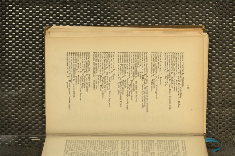 CuMiNTJM Cyminum, L. Cummyn. CuPBESSUS SEMPERViRENS, L. CypressB tree. CirsctrTA ETHIOPIA, L., and C. Epithymum, L. Doder. Cyclamen EUROPiEUM, L. Eape violet. Cydonia vulgaris, Pers. Quince tree. Cynara Scolymus, L. Arcliiclioke. Cynoglossum officinale, L. Dogs tonge, lioundes tong. Cyperus longus, L. Galangal. Cytisus hirsutus, L. Tre trifoly. Daphne Latjreola, L. Lauriel. Daucus Carota, L. Caret. DiANTHUS Caryophyllus, L. Wylde gelover. Digitalis purpurea, L. Foxglove, DiPSACUS SYLYESTRis, L. Wilde tasel. EcBALiUM Elaterium, A. Eich. Leaping or wyld Cucumer. Equisetum arvense, L. Short or thycke sliavegrasse. Erodium cicutarium, L'Her. Cranes byl, Pynke nedle. Ebuca sativa, L. Eokket. Ervum Lens, L. Lentil. Eryngium maritimum, L. Sea holly, sea hulver. Erythr^a Centaurium, L. Centorie. EuoNYMUS EUROP^us, L. Dogrise, Squaretree. EuPATORiUM CANNABiNUM, L. Water hemp. Euphorbia Esula, L. Lint or Litle spourge, or Spourge. Euphorbia Lathyris, L. Spourge. Euphorbia palustbis, L. Gyant spourge. Euphorbia Peplis, L. Sea Wartwort, Spourge Tyme. EuPHRASLA. OFFICINALIS, L. Eye bryghte. Eaba vulgaris, L. Beane. Eagus sylvatica, L. Bech. Ferula communis, L. Fenel gyante, Herbe Sagapene. Ficus Carica, L. Fig tree, Fyg tree. Ficus Sycomorus, L. Mulbery fyg tree. FiLAGO GEBMANiCA, L. Chafewurte, Cudwurt. FcENicuLUM VULGARE, Gaertn. Fenel. Fragaria vesca, L. Strawberry. Fraxinus excelsior, L. Ashe tree. FuMARiA officinalis, L. Fumitarie. Gagea lutea, Ker. Dogges Leike. Galega officinalis, L. Mocke licores. Galium Aparine, L. Goosegrasse. Galium verum, L. Maydens heire. Genista anglica, L. Prickly or Thorn broume. Gentiana lutea, L. Gentiane. Geranium molle, L. Dovefote. Geranium Eobebtianum, L. Herbe Eobert, Geum urbanum, L. Avenues. Glaucium luteum. Scop. Horned poppy, yealowe poppy. Glycyrrhiza glabra, L. Lycores.