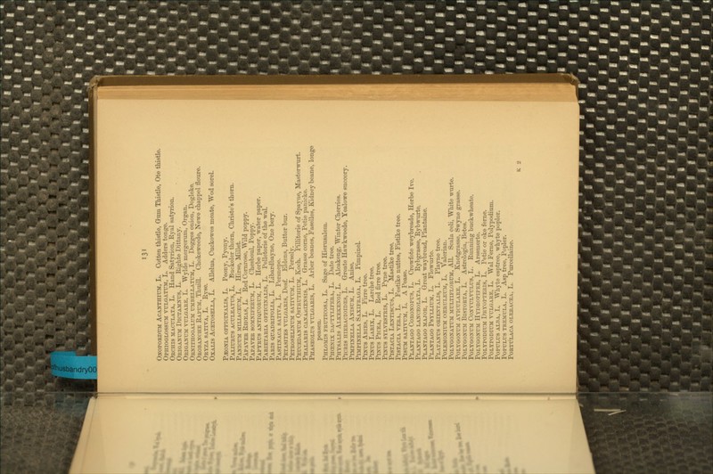 OxoPORDTTM AcAyrHTUM, L. Gotten thistle, Gum Thistle, Ot« thistle. OpmoGLOSSUM vm-GATTM, L. Adders tonge. Orchis maculata, L. Hand Satyrion, Eyal satynon. Oeiga]st3I Dictamxts, L. Eighte Dittany. Origaxum ttjlgaee, L. Wylde mergerum, Organ. ORXirHOGAiirM TJMBELLATUM, L. Dogges onioD, Dogleke. Oroba>-che Eaptjm, Thuill. Chokeweede, Newe chappel floure. Oryza sativa, L. Eyse. Oyat.ts Acetosella, L. Allelua, Cuckowes meate, Wod sorel. P^oxiA OFEicixAXis, L. Peony, Pyony. Paxtcrus acttleatcs, L. Buckeler thorn, Christe's thom. PA^'IC^:M: miliaceum:, L. Hrrse, Millet. Pap AVER Ehceas, L. Eed Comrose, Wild poppy. Papayer S03IXIFERUM, L. Chesboul, Poppy. Papyrus A^^QT70RUir, L. Herbe paper, water paper. Pareetaria OFFicrs'AXis, L. Pelletorie of the waL Paris quadrifolia, L. Libardbayne, One bery. Pastln'ACA satita, L. Persnepe. Petasites vulgaris, Desf. Eldens, Butter bur. Petroselixtim: sativum, L. Persely. Peuceda:s'UM Ostruthium, Koch. PUlitorie of Spayne, Masterwurt. Phalaris caxariexsis, L. Grasse come, Petie panicke. Phaseolus vulgaris, L. Arber beanes, Paselles, Kidney beane, longe peasen. Phxomis fruticosa, L. Sage of Hierusalem. Phcexix DAOTYiXFERA, L. Date tree. Physaxis Alkekexgi, L. Alcakeng, Winter Cherries. PiCRis HiERACioiDES, L. Greate Hawkweede, Yealowe succory. Pimplnt:lla A^asuM, L. Anise. PiMPDTELLA Saxifraga, L. PimpiaeL Pcfus Abies, L. Firre tree. Pnrus Larix, L. Larche tree, Pdtus Picea, L. Eed firre tree. Pixus SYLVESTRis, L. Pyne tree. PiSTACiA Lextiscus, L. Mastike tree. Pistacia vera, L. Festike nuttes, Fistike tree. Pisuii sativum, L. a Pease. Plantago Coroxopus, L. Crowfote weybreade, Herbe Ive. Pt. A XT A GO LAXCEOLATA, L. Eybgrasse, Eybwurte. PLAJfTAGO MAJOR, L. Great waybread, Plantaine. Plantago Psyllium, L. Flewurte. Plata>t:s oreextaxis, L. Playne tree. PoLEMOXlUM CCERULEUM, L. Valerian. Polygoxatum multiflorum, All. Scala celi, White wurte. Polygonum aviculare, L. Knotgrasse, Sw-jme grasse. PoLYGOXUii BiSTORTA, L. Astrologia, Betes. Polygonum Coxvulvulus, L . Eunning buckwheate. Polygonum Hydropiper, L. Arssmerte. PoLYPODiUM Dryopteris, L. Petie or oke feme. PoLYPODiUM vulgare, L. Wal Feme, Polypodium. PoPULUS Ai,BA, L. Whyte esptree, whyte popler. PoPULUS TREMULA, L. Asp tree, Popler. PoRTULACA OLERACEA, L. PxiTcellaine. K 2