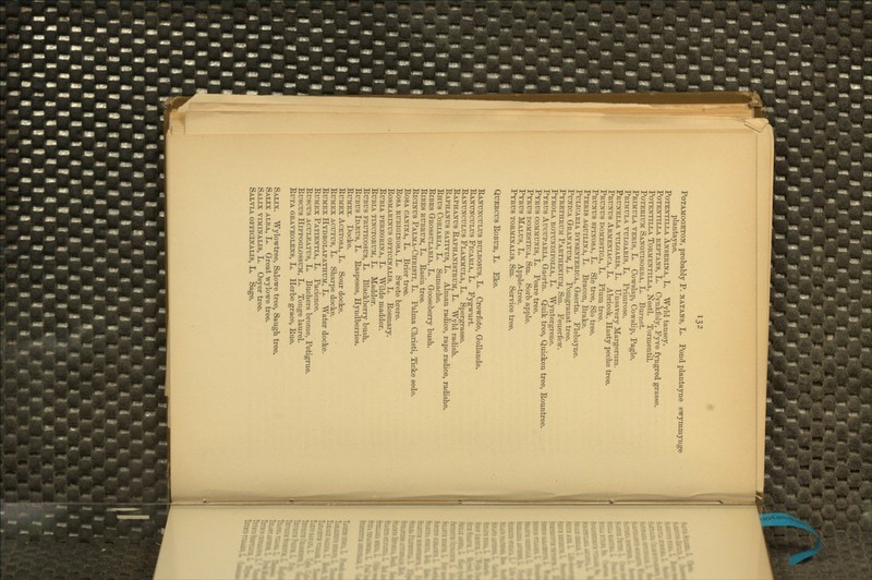 PoTAMoaETON, probably P. nataits, L. Pond plantayne swymmynge plantayne. PoTENTiLLA Anseren-a, L. Wyld tansey. PoTENTiLLA REPTANS, L. Cynkfoly, Fyve fyngred grasse. PoTEXTiLLA ToRMENTiLLA, Nestl. Tormentil. PoTERiUM Sanguisorba, L. Burnet. Primula veris, L. Cowslap, Cowslip, Pagle. Primula vulgaris, L, Primrose. Prunella vulgaris, L. Unsavery Margorum. Prunus Armeniaca, L. Abricok, Hasty peche tree. Prukus domestica, L. Plum tree. Prunus spinosa, L. Sle tree, Slo tree. Pteris aquilina, L. Bracon, Brake. PuLiCARiA DYSENTERICA, Gaertn. Flebayne. PuNiCA Granatum, L. Pomgranat tree. Pyrethrum Parthenium, Sm. Peuerfew. Pyrola rotundifolia, L. Wyntergrene. Pyrus Aucuparia, Gaertn. Quik tree, Quicken tree, Eountree. Pyrus communis, L. Peare tree. Pyrus domestica, Sm. Sorb apple. Pyrus Malus, L. Apple-tree. Pyrus torminalis, Sm. Service tree. QuERCus Eobur, L. Eke, Eanunculus bulbosus, L. Crowfote, GoUande. Eanunculus Ficaria, L. Fygwurt. Eanunculus Flammula, L. Spergrasse. Eaphanus Eaphanistrum, L. Wyld radish. Eaphanus sativus, L. Alman radice, rape radice, radishe. Ehus Coriaria, L. Sumacbe. EiBES Grossularia, L. Gooseberry busb. EiBES rubrum, L. Easin tree. EiciNUS Palma-Ohristi, L. Palma Cbristi, Ticke sede. EosA CANiNA, L. Brier tree. EosA RUBIGINOSA, L. Swete brere. Eosmarinus ofpicinalis, L. Eosmary. HuBiA PEREGRiNA, L. Wilde madder, EuBiA tinctorum, L. Madder. EuBus FRUTicosus, L. Blackberry busb. EuBUS Idjeus, L. Easpeses, Hyndberries. EuMEX. Docke. EuMEX AcETOSA, L. Soiir docke. EuMEX ACUTUS, L. Sbarpe docke. EuMEX Hydrolapathum, L. Water docke. EuMEX Patientia, L. Pacience. Euscus ACULEATUS, L. Bucbers brome, Petigrue. Euscus HiPPOGLOSSUM, L. Tonge laurel. EuTA GRAVEOLENS, L, Herbe grace, Eue, Salix. Wylowtree, Salowe tree, Saugb tree. Salix alba, Lu Great wylowe tree. Salix viminalis, L. Osyer tree. Salvia officinalis, L. Sage.
