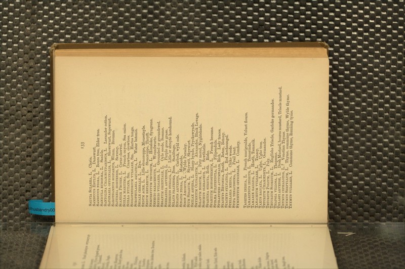 Salvia Sclakea, L. Clarie. SAMBUcrs EbuIiUS, L. Danewurt. Sambucus xiGRA, L. Boure tree, Elder tree. Saxictjla EfROP-^iA, L. Sanicle. Sa2«tolixa Cha^lecypabissus, L. Lavander cotton. Sapoxakia offictn'axis, L. Showrwiirt, Sopewurt. Sabothajtntts scoPAErcs, Wimm. Broume. Satiteeia hortexsis, L. Saveray. ScAJSTDix Pectex, L. Come chervel. ScTLLA MARiTiMA, L. French onyon, Sea onion. SciLiiA >TTA2fS, Sm. Crawtees, cro-vrtoes. ScoLOPEXDRiTTM TTLGARE, Sm. Hartes tonge. ScROPHTTiARiA AQUATiCA, L. Water betonie. Secajle cereale, L. Eye. Sedtjm acre, L. Litle stoncroppe, Mousetayle. Sedum: eeflexum, L. Stoncroppe, Tkryft. Sempervivum tectortim, L. Housleke, Syngrene. Senecio sabacexicts, L. Woundwurte. Se^tecio vulgaris, L. Groundsel or groundswel. SESAxrii ORiEXTAT.E, L. Oyle seede, Sesame. Sherardia arvexsis, L. Purple goos grase. SroERins SYRiACA, L. ? Litle or strayte horehound. SlLAUS PRATEXSis, Bess. Saxifrage. SrxAPis ARVEXSis, L. Carlock, wyld cole. SiXAPis xiGRA, L. Mustarde. Sisox Amomum, L. .TWylde Parseley. SlUM SiSARUit, L. Skyrwit, Skyrwort. Smtlax aspera, L. Sharp bynde, Pryckewynde. Sxyb>tx:m: Olijsatrtjm, L. Alexander, Black Lovage. SoLAxrM NiGRTUi, L. Pety morel, Nyghtshade. SoxcHus OLERACEirs, L. Sowthistle. Spartixa stricta. Both. Eishe. Spartiitm moxospermum, L. French broume. Spnt/EA Frr.TPKXDTTT.A, L. Fnipendula. Spiraxthes AirrirMXAXis, Bich. Lady traces. Stachys Betoxica, Benth. Beton, Betony. Stachys sylvatica, L. Bed Archaungel. Stellarlv. media, L. Chike weede. Stipa texacissima, L. Frail bent. Symphytttm: oeficixale, L. Comfery. Tagetes indica, L. French marigoulde, Veluet floure. Tamarixdus ixdicus, L. Tamarinde. Tamarix gat.tjca, L. Heath, Tamarik. TAXACExmi TiiLGARE, L. Tansey. Taxus baccata, L. Ughe, Ughe tree. TEtrCRitrM Cham^drys, L. Germander. TEtrcRnjH PoLiUM, L. Poly. Tefcriitm: SconDniM:, L. Englishe Triacle, Garleke germander. Thapsia ytllosa, L. Thapsene. Thlaspi arvexse, L. Dysh Mustard, boures mustard, Triacle mustard. Thymus cephatx)tos, L. ? Venetian Thyme. Thymus Serpyllum, L. Thyme, commune thyme, Wylde thyme. Thymus vulgaris, L. Commune thyme, Eunning tyme.