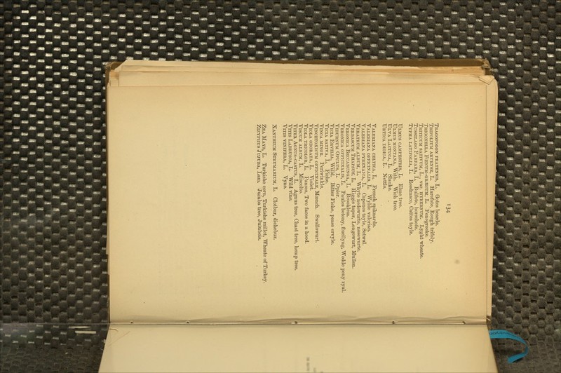 Tragopogon PRATEN8I8, L. Gotes bearde. Trifolitim arvense, L. Harefote, Eough trifoly. Trigonella FcEXUM-GRiECUM, L. Penegreeke. Tritictjm sativum, L., var. hybernum. Lyght wheate. TussiLAGO Farfara, L. Bulfote, horsehofe. Typha latifolia, L, Eeedmace, Cattes tayle. Ulmus campestris, L. Elme tree. Ulmus MONTANA, Witli. Wich tree. TJlva Lactuca, L. Slauke. Urtica dioica, L . Nettle. Valeriana celtica, L. French spiknarde. Valeriana officinalis, L. Wylde valerian. Valeriana pyrenaica, L. Capones tayle, Setwal. Veratrum album, L. Whyte nedewurte, nesewurte. Verbascum ThapsuS, L. Higgis taper, Longewnrt, Mullen. Veronica Beccabunga, L. Brooklem. Veronica officinalis, L. Paules betony, fluellyng, Wodde peny ryal. Viburnum Opulus, L. Opier. ViciA Ervilia, Willd. Bitter Ficbe, pease ervyle. ViciA sativa, L. Ficbe. ViNCA minor. Periwinkle. Vincetoxicum officinale, Moencb. Swallowurt. Viola ODORATA, L. Violet. Viola tricolor, L, Panses, Two faces in a bood. ViscuM album, L. Miscelto. Vitex Agnus-castus, L. Agnus tree, Cbast tree, hemp tree. ViTis Labrusca, L. Wild vine. ViTis VINIFERA, L. Vyne. Xanthium Strumarium, L. Clotbiir, dichebur. Zea Mays, L. Turkishe corn, Turkishe millet, Wheate of Turkey. ZiZYPHUS Jujuba, Lam. Jxxiuba tree, Juiubeis.