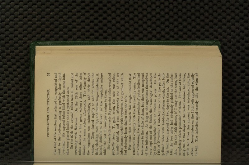 like that of the mutton first referred to, coagulated and sank to the bottom, leaving a perfectly clear liquid overhead. Six exposed tubes filled with the same infu- sion were placed beside the six protected ones. On the 27th the exposed tubes were all turbid and swarming with Bacteria, On the 29th one of the tubes showed a fine green colour; three other tubes showed the same colour afterwards. The vivacity of the organisms was extraordinary, and their shapes various. They darted rapidly to and fro across the field, clashing, recoiling, and pirouetting—rendering it, indeed, difficult to believe in the vegetable nature which the best microscopists assign to them. For nearly three weeks the protected tubes remained ^perfectly clear. To gain room, the case was subse- quently shifted, and soon afterwards one of the six tubes became turbid with organisms, the germs of which had obviously been shaken into the tube. For more than a month this single infectfed flask remained in company with the five healthy ones. The air containing the gaseous products of putrefaction had free access to the whole of them, but there was no spread of the infection. As long as the organisms themselves were kept out of the flasks, the ' sewer-gas' developed by the putrefaction had no infective power. On the 14th of November I infected two of the five perfectly pellucid tubes with haddock-infusion which, after boil- ing, had been exposed for two days to the air. On the 15th the two tubes had obviously yielded to the infec- tion. On the 16th disease, if I may use the term, had completely taken possession of them. Into one of them only one or two drops of the turbid infusion had fallen, while ten times this amount was introduced into, the other. Nevertheless on the 16th both appeared equally turbid. The infection acted exactly like the virus of