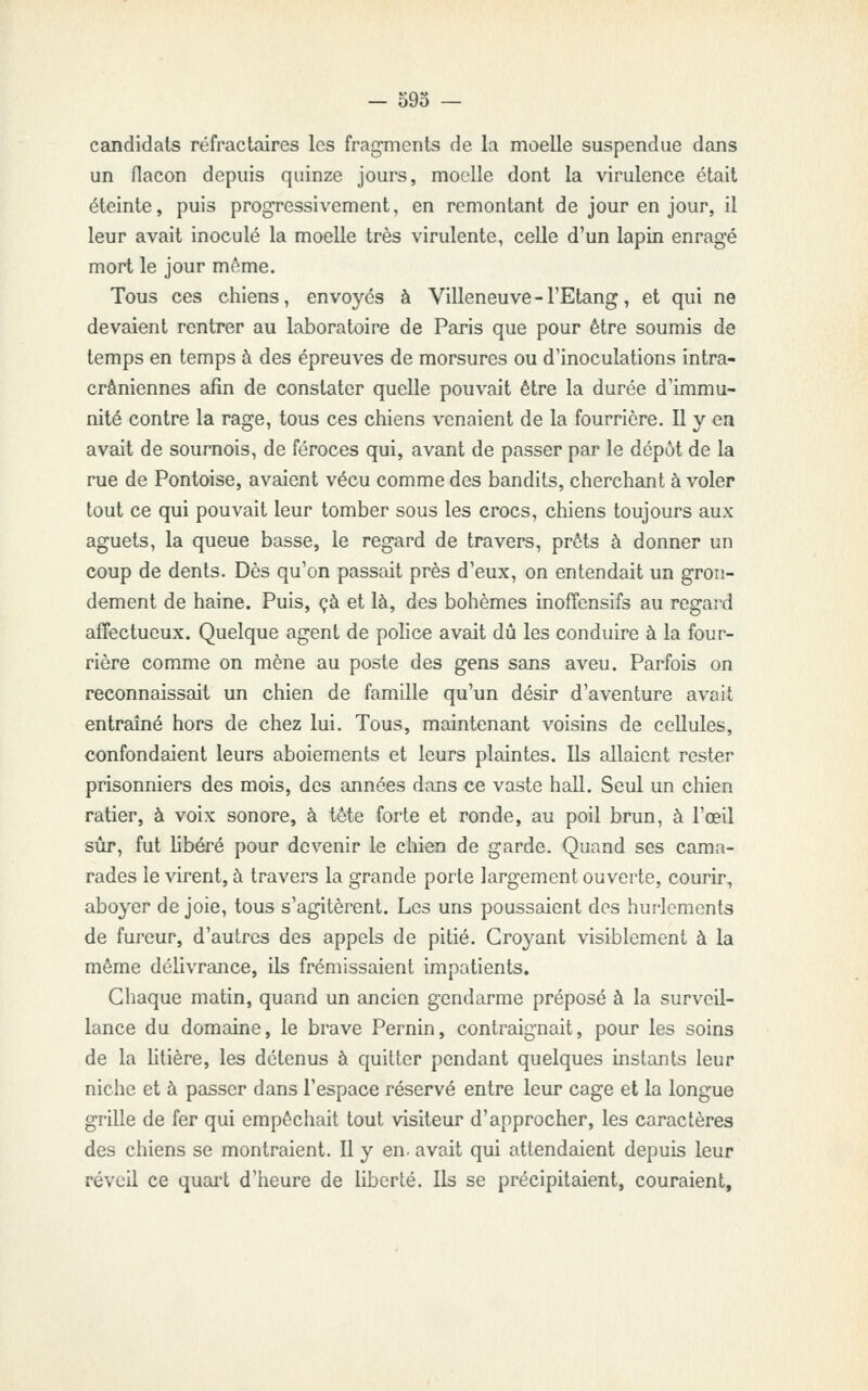 candidats réfractaires les fragrnents de la moelle suspendue dans un flacon depuis quinze jours, moelle dont la virulence était éteinte, puis progressivement, en remontant de jour en jour, il leur avait inoculé la moelle très virulente, celle d'un lapin enragé mort le jour même. Tous ces chiens, envoyés à Villeneuve - l'Etang, et qui ne devaient rentrer au laboratoire de Paris que pour être soumis de temps en temps à des épreuves de morsures ou d'inoculations intra- crâniennes afin de constater quelle pouvait être la durée d'immu- nité contre la rage, tous ces chiens venaient de la fourrière. Il y en avait de sournois, de féroces qui, avant de passer par le dépôt de la rue de Pontoise, avaient vécu comme des bandits, cherchant à voler tout ce qui pouvait leur tomber sous les crocs, chiens toujours aux aguets, la queue basse, le regard de travers, prêts à donner un coup de dents. Dès qu'on passait près d'eux, on entendait un gron- dement de haine. Puis, çà et là, des bohèmes inoffensifs au regard affectueux. Quelque agent de pohce avait dû les conduire à la four- rière comme on mène au poste des gens sans aveu. Parfois on reconnaissait un chien de famille qu'un désir d'aventure avait entraîné hors de chez lui. Tous, maintenant voisins de cellules, confondaient leurs aboiements et leurs plaintes. Ils allaient rester prisonniers des mois, des années dans ce vaste hall. Seul un chien ratier, à voix sonore, à tète forte et ronde, au poil brun, à l'œil sûr, fut libéré pour devenir le chien de garde. Quand ses cama- rades le virent, à travers la grande porte largement ouverte, courir, aboyer de joie, tous s'agitèrent. Les uns poussaient des hurlements de fureur, d'autres des appels de pitié. Groj'^ant visiblement à la même délivrance, ils frémissaient impatients. Chaque matin, quand un ancien gendarme préposé à la surveil- lance du domaine, le brave Pernin, contraignait, pour les soins de la litière, les détenus à quitter pendant quelques instcmts leur niche et à passer dans l'espace réservé entre leur cage et la longue grille de fer qui empêchait tout visiteur d'approcher, les caractères des chiens se montraient. Il y en. avait qui attendaient depuis leur réveil ce quart d'heure de liberté. Ils se précipitaient, couraient,