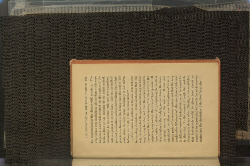 for communicating the disease with certainty. The experiments were multiplied; all the dogs which were trepanned, and which received on the surface of the brain a little of the medulla of the rabid animal, succumbed to the disease, with very rare exceptions, within a period of twenty days. Did not the method pursued demonstrate, among other things, that hydro- phobia is a disease of the brain ; that the seat of the rabic virus, far from being exclusively in the saliva, belongs, above all, to the cerebral matter ? Other results, in addition to this one, were not slow in revealing themselves. It was established that not only the brain, but the spinal marrow, along its whole length, may be rabic, and that the nerves themselves throughout their whole system, from the centre to the periphery, may contain the virus of hydrophobia. If there exists a microbe of hydrophobia, its medium of cultivation in the body is, par excellence, the brain, the spinal marrow, and the nerves. It was also established that there were localisations of virus in certain parts of the mucous system, and that the very considerable differences of rabic symptoms which exist in different cases of hydrophobia, must be sought for in this fact. At the moment of death the medulla oblongata is always rabic. Finally, it was established that hydrophobia could be given (and almost as rapidly as by trepanning) by inoculating rabic nervous matter into the circulation of the blood by a vein.