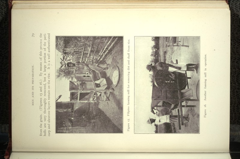 from the grain. (Figures 15 and 16.) By means of this process the hulls are very thoroughly removed, but a large portion of the peri- carp and aleurone layers remain on the rice. It is a well authenticated IJj^^^^^H Figure 15. Filipino fanning mill for removing dirt and chaff from ri( ^^^Hp^^^^xi^ ^VH mitt Figure 16. Another fanning mill in operation.