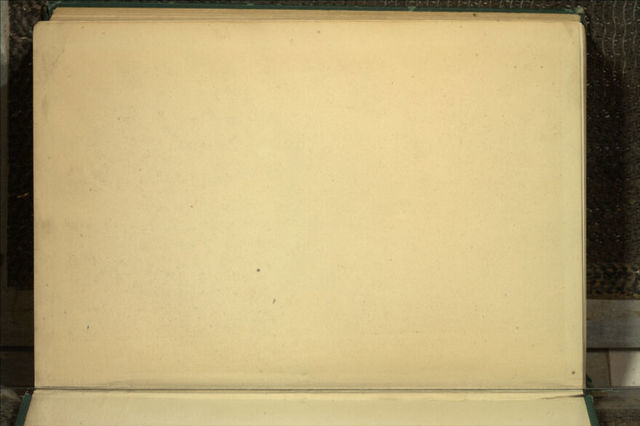 digitised image 3