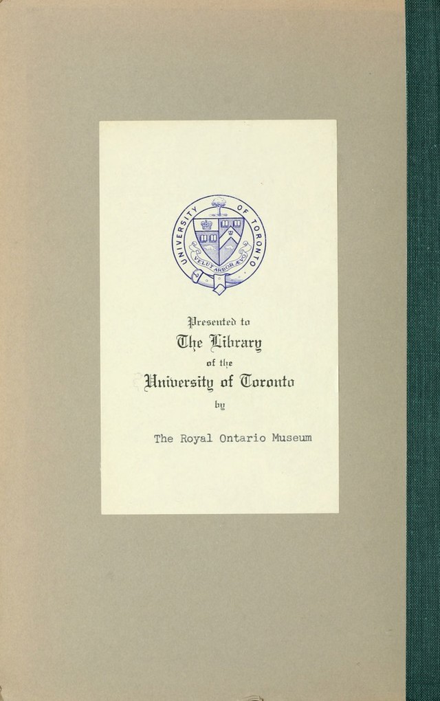 digitised image 2