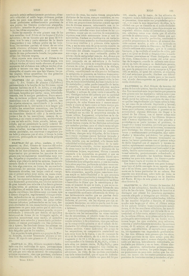 xir.o Sfpiiíilo artejo ordinaiianieiite (lestañoso; el ter- cero orbicular; el estilo largo; alKlonieii prolon- gado, un poco más estrecho que el tórax; las coxas posteriores ordinariamente provistas de una punta; los fémures posteriores alargados, abultado*, armados de pequeñas puntas por de- bajo: las tibias arqueadas. Kntre las especies de este género una de las más notables es el XUola de los bosques (Xi/lota sylvariim ),áe un tamaño que no pasa de 6 lí- neas, con la cara }' parte anterior de la frente blanquecinos y con reflejos azules en las hem- bras; las antenas ¡ardas; el tórax de «n color verde obscuro; ablomeii negro; el tercer seg- mento con manchas laterales, y el cuarto cu- bierto de una pubescencia dorada; las patas ama- rillas; los fémures negros. Otra especie más común es el Xiloia de las flores (Xijloía florurnj, con la frente negra, con reflejos Terdes:el tórax verde obscuro; el primer segmento del abdomen con reflejos verdes; el se- gundo y tercero con una faja leonada é inte- rrumpida; el cuarto con una faja blanca; las pa- tas negras; tibias amarillas: los dos primeros artejos de los tarsos blanquecinos. XILOTECA (del gr. ^v\ov, madera, y S^ki), caja': f. Bot. Género de plantas (Xylotheca) perteneciente á la familia de las Bixáceas, cuyas especies habitan en el S. de África, y son plan- tan fruticosas con las hojas esparcidas, trasovado- oblongas, lampiñas por ambas caras, reticulado- venosas, con la margen pestañosa; flores amari- llas, en racimos axilares casi terminales; flores masculinas con el cáliz tripartido, caedizo, con los sépalos cóncavos, envolviendo á la corola y empizarrados en la estivación y más largos que el cáliz; los estambres nnmerosos, con los fila- mentos filiformes y las anteras lineales; las flo- res femeninas tienen el cáliz y la corola seme- jantes á los de las masculinas, carecen de es- tambres, y su ovario es unilocular, multiovulado y con un solo estilo; fruto aovado, leñoso, api- culado, por ser persistente la parte iuterior del estilo, unilocular y contiene semillas numerosas; éstas se hallan insertas sobre tres ó cuatro pla- centas parietales, son convexas ó angulosas por un lado y cóncavas por el otro, y tienen la testa crustácea, prolongada en una carúncula pnlposa ó carnosa. XILOTELO (del gr. ^i\oi>, madera, y reXos, muerte}: m. Zool. Género de insectos del orden de los coleópteros, familia de los cerambícidos, tribu de los dorcadioninos. Los caracteres más importantes que presentan los insectos de este género son los siguientes: mandíbulas muy cor- tas, delgadas y arqueadas en su extremidad; la cabeza algo cóncava entre las anteras, finamente surcada desde el vértice hasta la base de la fren- te; ésta algo convexa, en forma de un cuadrado transversal; las antenas delgadas, pubescentes, finamente cirradas, tan largas como el cuerpo, con el primer artejo muy corto, en maza ovala- da, ol tercero notablemente más largo que el cuarto, los siguientes decrecen gradualmente; los ojos finamente granulados,sus lóbulos inferiores de gran tamaño con relación á los deniás géneros de esta tribu; el protórax más largo qne ancho y cilindrico; el escudo tiene la forma de un tri- ángulo curvilíneo; los élitros muy convexos, más ó menos alargados, regularmente oblongo ovala- dos, redondeados en su extremidad, tan anchos como el protórax por delante; las |mtas cortas; fémures robustos, pcdunculados en su base, des- pués abultados en una maza fuerte y ovalada, los posteriores un poco más cortos que el abdomen; ol quinto segmento del abdomen grande, un poco estrechado y trnncado jior detrás: el apéndice iutercoxal en forma de un triángulo agudo; el apéndice mesosternal muy ancho; el apéndice prosternal más estrecho y ensanchado posterior- mente; el cuerpo [irojongado con fina pubescen- cia y áptero; las hembras tienen las antenas un jioco más coi tas que los élitros, y los fémures más delgados que en los machos. Las especies de este género son proplus de Nue- va Zelanda, de color bronceado obscuro ó ver- dusco. Kl ti podo este género es el Xilotetea gii- sea. XILÓTILO: m. Min. Silicato magnésico hidra- tado con dos moléculas ile agua, perteneciente al grupo dn las ücrpcnlinas mejor caracterizadas, sin que por oslo sea un mineral do composición química constante, sino que proviene, conforme está bien demostr.ido, do la alteración ó meta- T01.U X.XIII I morfosis de otros, los cuales tienen propiedades ! distintas de las suyas, aunque contienen, en rea- lidad, casi sus mismos elementos componentes, si bieu en proporciones distintas y acaso agrupa- dos de diversa manera, relacionada con su as- pecto externo y característica estructura física. Debemos recordar cómo tratándose de las ser- pentinas, mejor que en cambios de composición, siquiera sean éstos sumamente leves y casi in- apreciables, fúndase su clasificación en variacio- nes de estructura acusadas mediante propiedades lisioas muy visibles }• á primera vista aprecia- bles, y no es esto cosa de poca monta cuando en ellas Uindanse precisamente las aplicaciones in- dustriales del silicato magnético hidratado que nos ocupa y se usa como estimable piedra de adorno desde antigüedad remota. Así, díceseqiie la serpentina noble es la de color verde aceituna, muy compacta en su estructura y de bordes translúcidos; la común es completamente opaca, obscura de color, y está asociada á la dialaga, cuyo mineral se disemina en toda la masa del silicato, constituyendo en ella puntos brillantes; la antigorita se presenta en láminas transparen- tes de color verde y verde manzana es el tono de la vilianesita, que es siempre translúcida; la bac- tita, en lániinasexfoliables.hállase dotada de bri- llo metaloideo y color pardo ó amarillo de latón; el crisotilo, de cuyo mineral admiten muchos que el xilotilo es sólo una variedad, está en fibras delgadas y sedosas de color verde ó amarillo de oro, distinguiéndose del asbesto por la cantidad de agua que contiene y ser además soluble en parte en los ácidos; es la cerolita reniforme ó compacta, de color blanco más ó menos amari- llento y suave al tacto como si fuera cuerpo gra- so; la diorita y la pinnita recuerdan jor su as- pecto la goma arábiga, y el famoso mármol ver- de antiguo no es sino la serpentina surcada de venas calizas. Lapparent, ocupándose en la cla- sificación de las serpentinas, emite una opinión digna de ser tenida muy en cuenta cuando que- remos darnos cuenta de las distintas estructuras que notadas quedan; para el citado mineralogis- ta es la serpentina, como especie, un mineral co- loide en cuya masa permanecen en suspensión las fibras, siempre muy delgadas, délos minera- les á cuyas expensas parece haberse formado y constituido; admitiendo esta bien fundada hipó- tesis, resulta que, en realidad, sólo tienen indi- vidualidad cristalográfica las fibras de la varie- dad nombrada crisotilo, únicas separables unas de otras como las del asbesto y distintas de las estrncturas hojosa, esquistosa, fibrosa ó amorfa asignada á la serpentina en genera!, y que en cierto modo j' hasta determinado límite sirve para distinguirla de otros silicatos magnésicos hidratados muy allegados suyos, y con los cuales, bajo otros aspectos, pudiera en muchos casos con- fundirse. Precisamente el xilotilo, que en el (ire- senté artículo se describe, procede de la más per- fecta serpentina, aquella cuyos caracteres mar- can mejor su individualidad y la que presenta estructura fibrosa particulary susceptibles de des- ligarse unas de otras y con ¡loco esfuerzo las fibras ó hacecillos de fibras que la constituyen y for- man; el mineral de que se trata, y que no es co- mún en los terrenos, preséntase formando una suerte de ¡ilacas de poca extensión, las cuales han- se constituido mediante adherencia de fibras no tan íntimamente unidas que no puedan desli- garle unas de otras, aunque en ocasiones se en- trelazen, al parecer, sin ley alguna que rija se- mejante fenómeno; su color es panlo casi de con- tinuo tornasolado, y con ciertos cambian tes vivos é intenso?. A parte de estas propiedades, q lio tienen no poco de común con las reconocidas en otras varieda- des de serpentinas, el xilotilo tiene dos caracte- res pro|iios, no ya residentes en caracteres pura- mente externos y de estructura, sino que radican en la composición (|uímica y en el estado de hi- dratación del silicato magnésico que lo forma en último análisis. Como individuo del guipo de las serpentinas, su composición centesimal no está muy lejos de la típica, ó sea de contener do 41 á 43 de ácido silícico, do 41 á 44 do oxido de magnesio y do 13 á 18 de agua, cuyos números corresponden á la fórmula H4>lg,Si.,0,„ ó bien á esta otra, no menos cierta, HBMg¡Si.jO|„; j>ero dentro do los límites asignados hay ciertas va- riaciones dignas de ser tenidas en cuenta; así, adviértese, en vista do los análisis practicados con toda minuciosidad, que el agua >ie hidrnta- ción contenida en el xilotilo no pas.i del II por XILO 105 I 100, siendo, por ló tanto, de los silicatos de magnesio menos hidratados que en la naturaleza se presentan; tiene entre sus propiedades quími- cas, y es acaso la más importante de ellas, la fa- cilidad con que se disuelve en el ácido clorhídri- co, aunque no totalmente, pues deja siempre un esqueleto silícico: dadas su estructura}- caracte- res, admítese como cosa cierta que el xilotilo procede de alteraciones, mejor físicas que quí- micas, de un crisotilo particular, conteniendo grandes proporciones de hierro; el mineral des- crito escasea mucho, y sólo se ha indicado su presencia como cierta en Sterzones, del Tirol. Al xilotilo refiérese otro cuerpo, que se le asemeja bastante, y ha recibido el nombre de .j-íVíVu, por- que á su igual se divide y desgaja como la made- ra fibrosa; preséntase en fibras desligadas unas de otras, tornasoladas y opacas del color pecu- liar de la especie; cuando se calienta este mine- ral en un tubo de ensayo se deshidrata pronto, y es de las serpentinas que menos agua contie- ne, pues la proporción de este cuerpo es 4,70 por 100; se enlaza, al igual del xilotilo, al crisotilo, del cual asimismo procede; fúndese con dificul- tad y por vía húmeda, resiste poco á los reacti- vos, siendo descompuesto en particular por el ácido clorhídrico. xiLOTRECO: ni. Zool. Género de insectos del orden de los coleópteros, familia de los cerambíci- dos. Los caracteres más importan tes que presenta este genero son los siguientes: cabeza más ó me- nos gruesa y un poco saliente por detrás, redon- deada entre las antenas y provista de una ó cin- co quillas longitudinales que bajan sobre la fren- te, así como de un reborde deprimido y lateral; la frente generalmente un poco cóncava; las an- tenas poco robustas, atenuadas y giuesas en su extremidad, algunas filiformes sin llegar á la mitad de los élitros, con el tercer artejo más largo que los siguientes, y los últimos decrecen más ó menos rápidamente: los ojos grandes y escotados en su parte interna; el protórax, de lougiti:d y forma variables, provisto por encima de asperezas más ó menos numerosas, raramente poco distintas; los élitros en general poco con- vexos y medianamente prolongados, algo estre- chados y truncados por detrás; las patas poco robustas y largas; los fémures terminados en maza; los tarsos posteriores con el primer artejo de doble longitud que el segundo y tercero re- unidos; episternones metatorácicos anchos y pa- raleles; el apéndice niesostei nal horizontal y pa- ralelo, declive anteriormente: el apéndice pros- terna! estrecho, posteriormente redondeado; el cuerpo poco alargado; las hembras tienen las antenas un poco más cortas; Irjs fémures poste- riores llegan hasta el vértice de los élitros. Los insectos de este género son poco homogé- neos bajo el doble concepto de su aspecto gene- ral y de su librea, pero siempre fáciles de reco- nocer en la forma particular de su cabeza. Sus especies son numerosas, sobre todo en Asia; se encuentra también en Europa y en la América da! Korte. El tipo de este género es el Xylotre- chiis liciatus L. XILOTRETO: ni. Zool. Género de insectos del orden de los coleópteros, familia de los cléridos, tiibu de los cleiinos. Este género de insectos se distingue por ofrecer los caracteres siguientes: mentón alargado y triangular por delante; len- güeta bilobada: sus lóbulos redondeados; lóbulos de las niaxilas delgados y lineales, el externo mucho más largo que el otro; el último artejo de les palpos labiales transversalmente securi- forme, el de los maxilares cilindrico; las mandi- las provistas de un diento por delante de su ex- tremidad ; el labro corto, entero ó un poco escota- do; la cabeza oblicua, muy plana sobre la frente, prolongada anteriormente en un hocico masó menos largo; los ojos ovalados, muy salientes, estrecha y profundamente escotados; las antenas cortas, de 11 artejos: el primero medianamen- te largo, casi cilindrico, el segundo muy peque- ño, los siguientes van engrosando gradualmen- te, los tres últimos más gruesos que los otros, el último provisto de un falso artejo poco dis- tinto; el i)rotürax más ú menos alargado, depri- mido por encima, lateíalnionto redondeado, es- trechado por delante y en su base; élitros alar- gados, paralelos, redondeados posteriormente, muy )ilanos por encima; las )'atas largas; fému- res posteriores un poco más cortos que los éli- tros; los tarsos con los cuatro primeros artejos provistos de laniinitas cortas y escotadas; el pri U