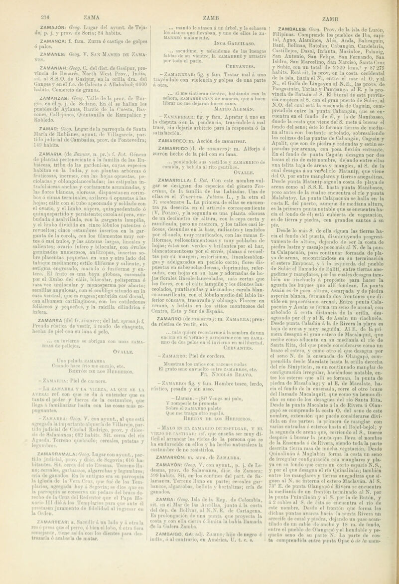 ZAMAJÓN: Gcog. Lugar del ariint. de Teja- do, p. j. y prov. de Soria; 84 habits. ZAMANCA: f. fam. Zurra ó castigo de golpes ó palos. ZAMANES: Geog. V. San Mamed de Zama- KES. ZAMANIAH: Gcog. C. del dist. de Gasipur, pro- Tincia de Benarés, North AVest Prov., InJia, sit. al S.S.O. de Gasipur, en la orilla dra. del Ganges T en el f.c. de Calcuta á AUahabad; 6000 habits. Comercio de granos. ZAMANZAS: Geog. Valle de la pror. de Bur- gos, en el p. j. de Sedaño. En él so hallan los pueblos de Aylanes, Barrio de la Cuesta, Bas- cones, Callejones, Quintanilla de Rampaláez y Robledo. ZAMAR: Geog. Lugar de la parroquia de Santa María de Rubianes, ayunt. de Villagarcía, jiar- tido judicial de Cambados, prov. de Pontevedra; 149 habits. ZAMARIA (de Zíiwar, n. pr.): f. Bol. Género de plantas perteneciente á la familia de las Eu- biáceas, tribu de las gardeniéas, cuyas especies habitan en la India, y .son plantas arbóreas ó frnticosas, inermes, con las hojas opuestas, pe- cioladas y oblongolanceoladas; las estípulas in- trafoliáceas anchas y cortamente acuminadas, y las flores blancas, olorosas, dispuestas en corim- bos ó cimas terminales, axilares ú opuestas á las hojas; cáliz con el tubo apeonzado y soldado con el ovario, y el limbo supero, quinquedentado ó quinquepartido y persistente; corola supera, em- budada ó asalvillada, con la garganta lampiña, y el limbo dividido en cinco lóbulos patentes ó revueltos; cinco estambres insertos en la gar- ganta de la corola, con los filamentos muy cor- tos ó casi nulos, y las anteras largas, lineales y salientes; ovario infero y bilocular, con óvulos geminados numerosos, anfítropos, insertos so- bre placentas pequeñas en uno y otro lado del tabique medianero; estilo filiforme y saliente, y estigma engrosado, mazudo ó fusüorme y en- tero. El fruto es una baya globosa, coronada por el limbo del cáliz, bilocular, polisperma ó rara vez unilocular y monosperma por aborto; semillas angulosas, con el ombligo situado en la cara ventral, que es rugosa; embrión casi dorsal, con albumen cartilaginoso, con los cotiledones foli.-iccos y pequeños, y la raicilla cilindrica é ÍD fera. ZAMARRA (del fr. simam; del lat. .lynnaj: f. Prenda rústica de vestir, á modo de chaqueta, hecha de piel con bu lana ó pelo. ... en invierno se abrigan con unas zama- RliAS de pellejos, O VALLE. Una peluda xaharda Cnando hace frío me enc.ijn, etc. Bretón dr lo.s IIkrkeros. -ZamaiiüA: Piel de camero. - La zamarra v la vileza, al que se la aveza: rcf. con que no ila á entender quo es tanto el poder y fuerza do la costumbre, que llega á familiarizar hajils con las cosas más ro- |Mignantes. - /amari'.a: Grog. V. con ayunt., al que está agrcgndalaiinportantoalqucríado Villnrojo, par- tido judicial do f'iudad Itodrigo, prov. y diócc- MI fie Haloiiianca; fi02 Iwiliiti. .Sjt. cerca del río Águeda. Terreno quoijrado; cereales, patatas y legunibroi. ZAMARRAMALA: f/rng. Lngarcon nynnt., par- tido judiíjal, prov. y dióc. rio .Scgovia; Bl(i ha- liitanles. Sit, cerca «lid río KriHiua. Turnno lla- no; ccrcnlcN, garlian/o», algarrobas y legumbres; cría lio ganado» En lo antiguo ora nu parroquia la iglcuia do la Vora Cruz, quo fué do Ion Toni- rilarioi, agregada hoy á .Si-govia; no dice que en la parroquia «o con«prvii un pedazo did brazo de- roclio de la ''ruz dr 1 lt<idi nior que el Papa Ho- norio III ilió li loH T('iii|ilario<i para quo anto él pr'-'.taton juramento do lidolidad al irigioNar on la Orden. ZAMARREAR: a. Sacudir li un Inilo y il otrola re» i'i priv I qun el [ierro, ó bjnn ol lolio, i'i otra liora wniojaiile, tir>nD npijila ron Ioh dionlós para don- trozarla ó acabarla d« matar. ... mandó le atasen á uu árbol,y le echasen los alanos que llevaban, y uno de ellos le ZA- MARREÓ malamente. Inca Garcilaso. ... sacudíme, y asiéudorae de las luengas faldas de su vientre, la zamarreé y arrastré por todo el patio. Cervantes. , - Zamarrear: fig. y fam. Tratar mal á uno trayéndolo con violencia y golpes de una parte á otra. ... si me sintier.in dentro, hablando con la señora, zamarrearan de manera, que á buen librar no me dejaran luie?o sano. Mateo Alemán. - ZA^tA^.REAR: fig, y fam. Apretar á uno en la disputa ó en la ¡londencia, trayéndole á mal traer, sin dejarle arbitrio para la respuesta ó la satisfacción. I ZAMARREO: m. Acción de zamarrear. í ZAMARRICO (d. de ¡amarro)- ra. Alforja ó zurrón hecho de la piel con su lana. ... poniéndole sus vestidos y ZAMARRICO de comida, y bebida al rito gentílico. O VALLE. ZAMARRILLA: f. Bot. Con este nombre vul- gar se designan dos especies del género Tcu- crium, de la familia de las Labiadas. Una de ellas es el Tcucrium Poliían L,, y la otra el J'. moiiíanuvi L. La primera de ellas se encuen- tra ya descrita en el artículo corres|>ondiente (V. Poleo), y la segunda es una planta olorosa de un decímetro de altura, con la cepa corta y ramificada, pero no rastrera, y los tallos casi le- ñosos, desnudos en la base, radiantes y tendidos por el suelo, muy ramificados, con las ramas fi- liformes, vellosotomentosas y muy pobladas de hojas; éstas son verdes y brillantes por el haz, blancotomentosas por el envés, planas ó revuel- tas por sli margen, enterísiuias, lincalesoblon- gas y adelgazadas en pecíolo corto; llores dis- puestas en cabezuelas densas, deprimidas, refor- zadas, con hojas en su base y adornadas do ho- jas florales linealeslanceoladas, nuis cortas que las flores, con el cáliz lampiño y los dientes lan- ceolados, puntiagudos y aleznados; corola blan- co-amarillenta, con el lóbulo medio del labio in- ferior cóncavo, trasovado y oblongo. Florece en verano, y habita en los sitios montuosos del Centro, Este y Sur de España. ZAMARRO {desnmarraj: m. ZAMARRA;pren- da rústica de vestir, etc. ... más quiero recostarme á la sombra de una enema en el verano y arroparme con un zama- rro de dos pelos en el invierno en milibertad. Cervantes. -Zamarro: Piel de cordero. Muestran los zafios con razones rudas El grato seno envuelto entre zamarros, etc. Fr. NioolXs Bravo. -Zamarro: fig. y fam. Hombre tosco, lerdo, rústico, pesado y sin aseo. -Llaman. -jSÍ? Venga mi pnlo, y romperle te prometo Kol>re el zamarro paleto Que me traiga otro regalo. Bretón he los Herreros. - Malo es Er. zamarro he esitloar, v el VIE.10 iiEíA.sTliiAR: reí', que enseña ser muy di- fícil ol arrancar los vicios do la persona quo so ha endurecido on ellos y ha hecho naturaleza la rostiimliro de no resistirlos. ZAMARRÓN: m. aum. de Zamarra. ZAMAYÓN: Geog. V. con ayunt., p. j. do Le- desma, prov. do Salamanca, di.'.c, do Zamora; 5'-i!Miabiti. .Sit. en los confines dol parí, ilo iSa- lanianca. Terreno llano on parte; rcicalcB gar- banzos, algarrobas, bellota y hortalizas; cría do ganados. ZAMBA: 'Vcnf/. Isla de la Uep. de fíolombia, sit. in ol Mar de las Antillas, junto á la cosln del ilop. (lo liidívar, al .\.N. lí. do ('artagona. Es prolongación do una punta quo proyecta la costa y con olla cierra ó lindla la babla llamada <)o la (¡alora Zamba, ZAMBAÍQO, QA: ad|. Zamro.- hijo do negro é indli, II al contrario, en Ainéiica. 1'. I. c. h. ZAMB 1 ZAMBALES: Geog. Prov. de la isla de Luzón, Filipinas. Comprende los pueblos de Iba, capi- tal, Agno, Alamiuos, Alós, Anda, Balicaguín, Bani, Ijolinao, Botolán, Cabangán, Candelaria, Castillejos, Dasol, Infanta, Masinloc, Palauig, .San Antonio, San Felipe, San Fernando, San Isidro, San Marcelino, San í>arciso, Santa Cruz y Subic, con un total de 2 229 kms.- y 87 27.5 habits. Está sit. la prov. en la costa occidental de la isla, hacia el N., entre el mar al O. y al lí., el Golfo de Lingayen al N. E., las prov.s. de Pangasinán, Tarlac y Pampanga al E. y la pro- vincia de Bataán al S. El litoral de esta provin- cia empieza alS. con el gran ]iuerto de Subió, al N.O. del cual está la ensenada de Caguán, com- prendida entre la punta Cabangán, que se en- cuentra en el fondo de él, y la de Manibaseo, donde la costa que viene del S. mete á buscar el fondo del seno; éste lo forman tierras de media- na altura con bastante arbolado, sobresaliendo las colinas délas puntas de Cabangán, Caguán y Apalit, que son de piedra y redondas y están se- paradas por arenas, con poca flexión entrante. En el fondo de punta Caguán desagua por dos bocas el río de este nombre, dejando entre ellas una i.sl¡ta baja de arena y mangles, al S. de la cual desagua á su ve:^el río Malanip, que viene del O. por entre manglares y tierr.is anegadizas. Desde punta Matanip sigue la costa de playa de arena como al S.S.E. hasta punta Manibaseo, l>oco antes de la cual se encuentra el río y punta Malabatoy. La punta Calapacuán .se halla en la co-sta E. del ¡luerto, aunque de mediana altura, es la primera punta notable que se encuentra ha- cia el fondo de él; está cubierta de vegetación, es de tierra y piedra, con grandes cantos á su pie. Desde lo más S. de ella siguen las tierras ha- cia el fondo dol puerto, disminuyendo ]>rogresi- vamente de altura, dejando de i-er la costa do ]iiedra lastre y cascajo poco más al N. de la pun- ta Calapacuán, para continuar formada de pla- ya de arena, encontrándose en su terminación el estero Enipucat, y á la izquierda del pueblo de Subic el llamado de Balití, entre tierras ane- gadizas y manglares, por las cuales desagua tam- bién un riachuelo á propósito ]iara liacer la aguada los buques quo allí fondean. La ]innta Asaán es de poca altura, escarpada y de ¡liedra asperón blanca, formando dos frontones qne di- vide en pequeñísimo arenal. Entre ]ninta Cala- pacuán y Asaán se forma un seno de arenal, con arbolado ú corta distancia de la orilla, des- aguando por él y al E. de Asaán un riachuelo. De.sde punta Caladán á la de Rivera la playa es baja do arena y muy seguida. Al K. de la pri- mera desagua i>l gran estero de Maealaquit, quo recibo como anncnlo en su medianía el río do Santa Rita, del que puede considerarse como un brazo el estero, y como otro el que desagua |wr el seno N. do ]a en.scnada do Olangapó, com- prendida desdo Macalate basta la orilla derecha del río lüniídicán, es nn continuado manglardc configuración irregular, haciéndose notable, en- tre los esteros que allí se forman, la ¡¡unta do piedra de Mncabalag;y al E. de Macalate, ha- cia ol fondo do la ensenada, cori'O el otro brazo dol llamado Maealaquit, qne como ya hemos di- cho es uno do los desagües del río Santa líila. Desdo la punta Macalate a la de Rivera ú Olan- gapó se comprende la costa O. del seno do esto nombro, extensión que ]>uedo considerarse divi- dida en dos jiartes: la primera de manglar con varias entrailas ó esteros hasta ol l'.ojol-bojol; y la segunda de arena que, coiriendo al .S., tuerce ilospués á buscar la punta q\ie lleva ol nombro do la Ensenada ó do Rivera, siendo toda la pai to descrita fierra rasa do mnclia vegetación. Desdo i.hiiualinán i\ Maglabán forma la costa )iii seno do iirrgidar conligniarión con manglares y pla- ya cu su fondo que corre un cinto es)iai'¡(i N.S., y por ol qtio desagua el río i.iuinalinán; tamliién entro los manglares y tierras anegadizas quo si- gnen al N. se interna el estero Maclavún. Al S. 7.'i E. do limita Olangn|>óó Hivora se encuonlra la uipílianíu de uu IVonli'm terminado al N. por In punta l'niíKilinaii y al S. por la de Untón, y i'l 2 riililis al i'^. de ésta so enrnoiilra el río do este nnndire. Desde el Montón que forma la» diolias jiunlas avanza hacia la punta liivpia un arrecife do coral y piedra, dcjniuln un |iaso acan- tilado de un cable do ancho y 18 m. de Ibndo, entre el pueblo de Olangiipóyel hondahle y pe- i|iii'ño Heno de su parlo N. La parto do coh- tn coniiirondida entro punta Opac á itf la man-