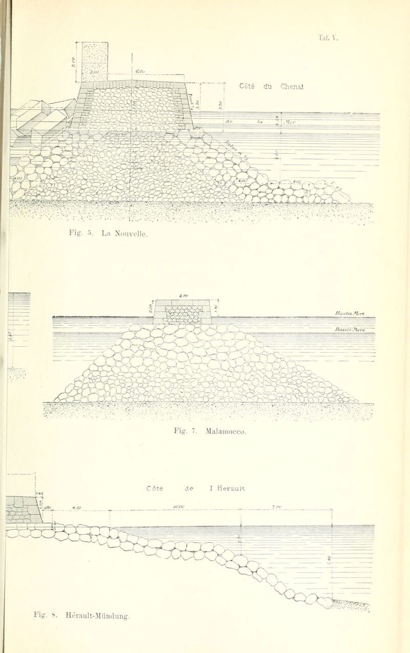 Jig -J Li N ii\ ^U. Fig. 7. Malamoeco.