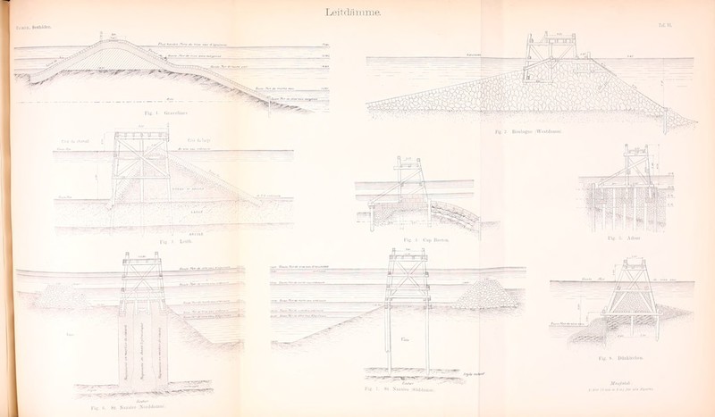 Leitdaiimie. ^l,^- -r^»». l^ig. 1 liiiiveliüci l^-HLi-JFTjr^gj -■^ «J/ y l- SSl-^- fja- ■ ■ - - viy_ :::;s^ 'it/~- -^- -.N ii-, '.'. Boiilogno iWcsiiliuiiu ... -// Fig. :. Sl- XaziilTo (.Sliildat I;3'I0 li mm 3 t m) !»r alli fl-jor