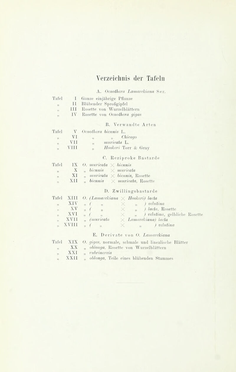 Verzeichnis der Tafeiu A. Ot'tiotlitra Lamarrkiimn Ser. Tafel I Ganze einjährige Pflanze „ II Blüliender Siiroßgipfel „ III Eosette von Wurzelbiätturn „ IV Rosette von Oenothera gigan B. Verwamlte Arten Tafel V (hnothera hiennis L. „ VI „ „ Chicago „ VII „ muricata L. „ VIII „ Hookeri Torr & Gray C Reziproke Bastarde Tafel IX (>. muricata >( hiennis „ X „ bicnnis ■, muricata „ XI „ muricata >( hiennis, Rosette „ XII „ hiennis •; muricata, Rosette D. Zwillingsbastarde Tafel XIII <). (Lamaickiana X Hookeri) lacia „ XIV „ ( „ X „ ) veJutina ,, XY „ ( „ X „ J laeUi. Rosette „ XVI „ ( „ X „ ) velutina, gelblielie Rosette „ XVII „ (muricata X Lamnrckiana) laeta „ XVIII „ C ,. X ■■ J velutina E. Derivate von <>. Lamnrchiana Tafel XIX (). gigas. normale, sclimale und linealisclie Blätter „ XX „ oblonga. Rosette von ^Ynrzelblättern „ XXI „ ruhrinervis „ XXII „ oblonga, Teile eines blühenden Stammes