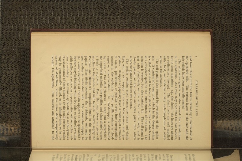 and from this in turn the hair is formed by a modification of the epitheHal cells. The various layers of the hair and the hair follicle have been carefully named. The sebacecous glands are also formed from involutions of the epidermis. As a rule they open into the hair folHcles, but in some situations—e.g., the cheek—the hairs are absent or rudimentary {lanugo). The gland cells are well supplied with blood, and undergo a fatty metamorphosis, of which sebum is the outcome. The coil gland is also formed by involution of the epider- mis. It consists of a long tube, which in the deeper corium is coiled upon itself to form a gland, the duct of which runs in a corkscrew spiral to the outer surface of the skin. The secretion is watery, but also contains fat. The coil gland is met with abundantly on the surface of the body, and is closely packed on the palms and soles, parts from which sebaceous glands and hairs are absent. The corium contains much connective tissue and elastic fibre, with a rich supply of nerves, bloodvessels, and lym- phatics. Its upper or papillary layer is made up of a number of conical projections, or papillce, thrust into corresponding recesses in the epidermis. Each papilla contains a blood- vessel or a nerve-ending. The blood-supply is distributed by means of two chief plexuses—a deep and a superficial; the superficial underlies the papillae, and when dilated causes a blush or erythema. From the deep plexus are given off supplies to the glands and hair follicles. Nerves supply the Pacinian and Meissner's corpuscles found in the nervous papillae. Fine fibrils penetrate the epidermis, and may be seen ending in individual cells. The vasomotor supply to the various elements of the skin appears to be specialized ; for there may be blushing with a dry skin, or localized sweating with pallor, or a sebaceous hypersecretion without either red- ness or sweating. The veins may be dilated, as in the cyanosis of certain forms of heart disease ; or the small surface venules may be permanently dilated, as in telangiectasis, or in the rosacea of alcoholism, where the veins show conspicuously beneath the epidermis. Fine muscles are attached to the