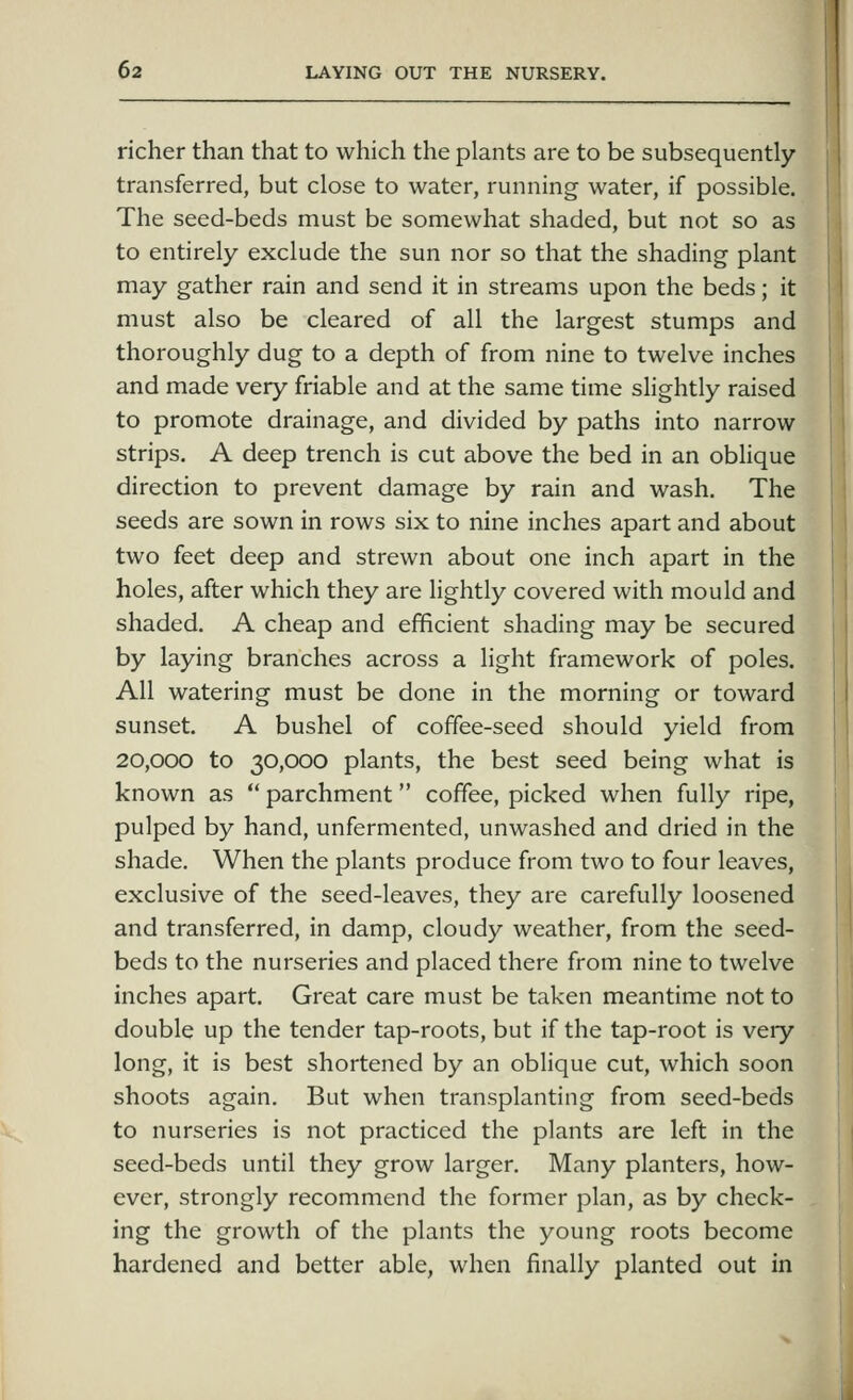 richer than that to which the plants are to be subsequently transferred, but close to water, running water, if possible. The seed-beds must be somewhat shaded, but not so as to entirely exclude the sun nor so that the shading plant may gather rain and send it in streams upon the beds; it must also be cleared of all the largest stumps and thoroughly dug to a depth of from nine to twelve inches and made very friable and at the same time slightly raised to promote drainage, and divided by paths into narrow strips. A deep trench is cut above the bed in an obHque direction to prevent damage by rain and wash. The seeds are sown in rows six to nine inches apart and about two feet deep and strewn about one inch apart in the holes, after which they are lightly covered with mould and shaded. A cheap and efficient shading may be secured by laying branches across a light framework of poles. All watering must be done in the morning or toward sunset. A bushel of coffee-seed should yield from 20,000 to 30,000 plants, the best seed being what is known as  parchment coffee, picked when fully ripe, pulped by hand, unfermented, unwashed and dried in the shade. When the plants produce from two to four leaves, exclusive of the seed-leaves, they are carefully loosened and transferred, in damp, cloudy weather, from the seed- beds to the nurseries and placed there from nine to twelve inches apart. Great care must be taken meantime not to double up the tender tap-roots, but if the tap-root is very long, it is best shortened by an oblique cut, which soon shoots again. But when transplanting from seed-beds to nurseries is not practiced the plants are left in the seed-beds until they grow larger. Many planters, how- ever, strongly recommend the former plan, as by check- ing the growth of the plants the young roots become hardened and better able, when finally planted out in